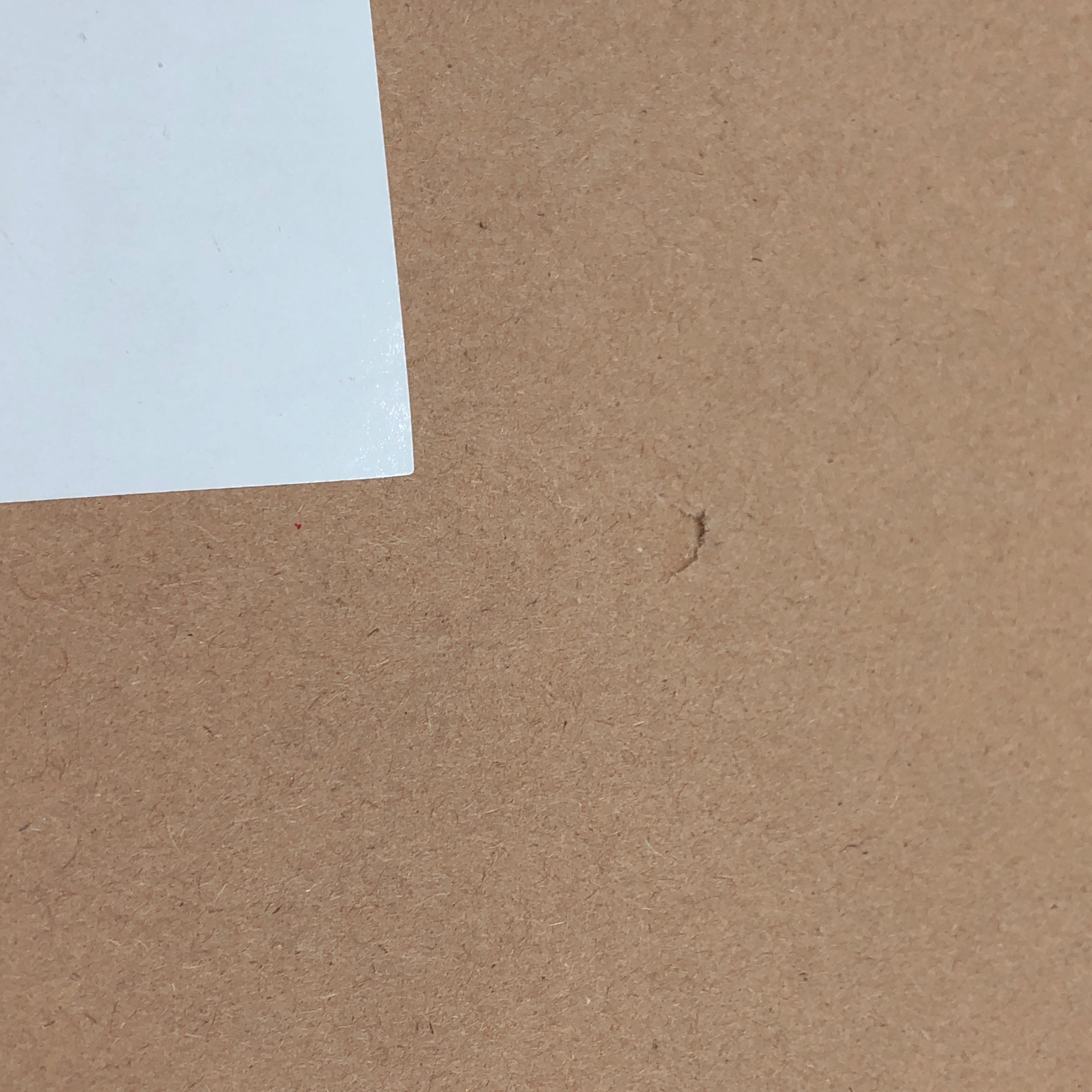 (w/Bonus) Kiwi Toys Kyou no Yuushoku YUKI 1/6 Scale PVC Figure AUTHENTIC from Japan