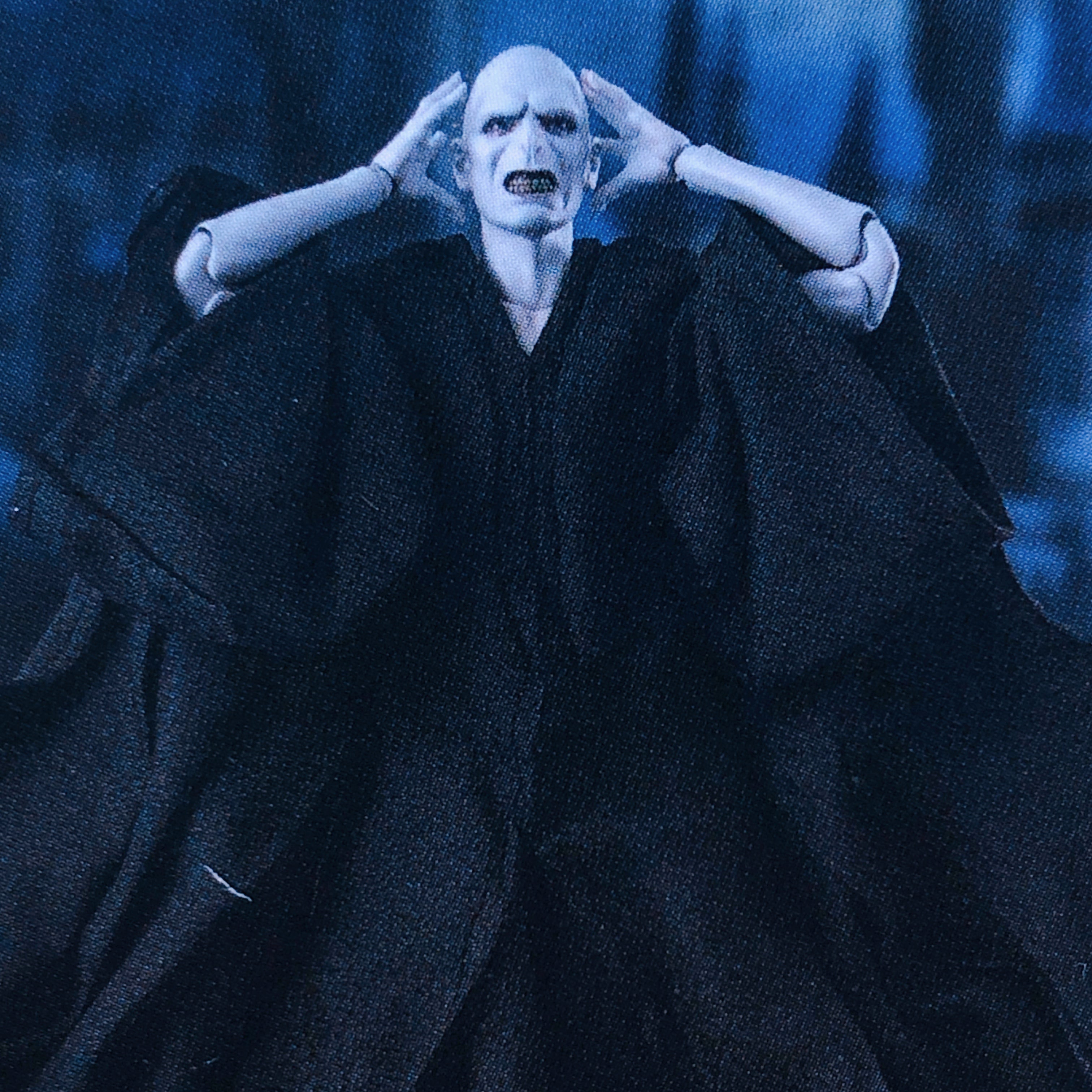 Harry Potter Lord Voldemort S.H.Figuarts Bandai Japan AUTHENTIC Action Figure