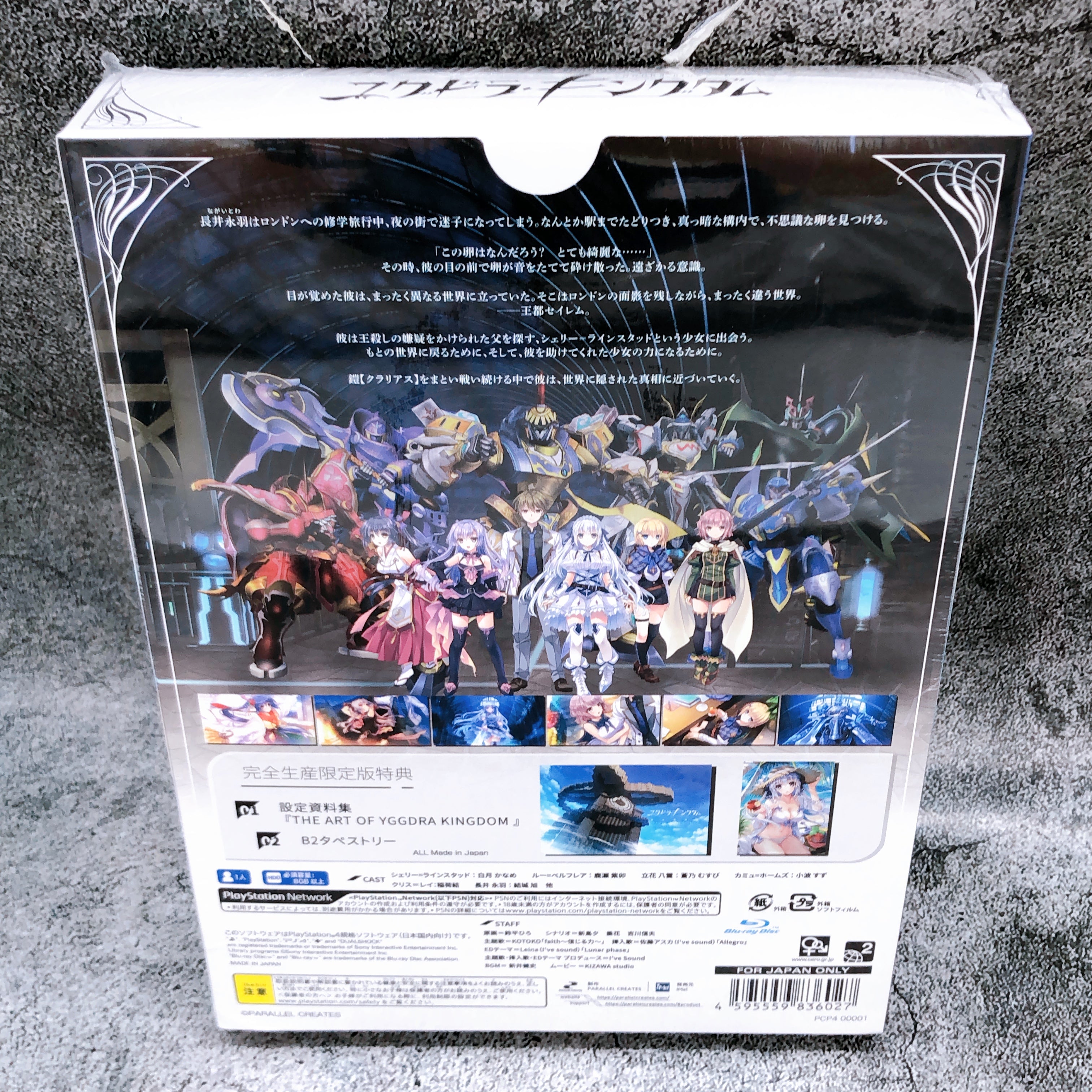 PlayStation 4 Yggdra Kingdom Limited Edition PS4 Version PARALLEL CREATES Japan
