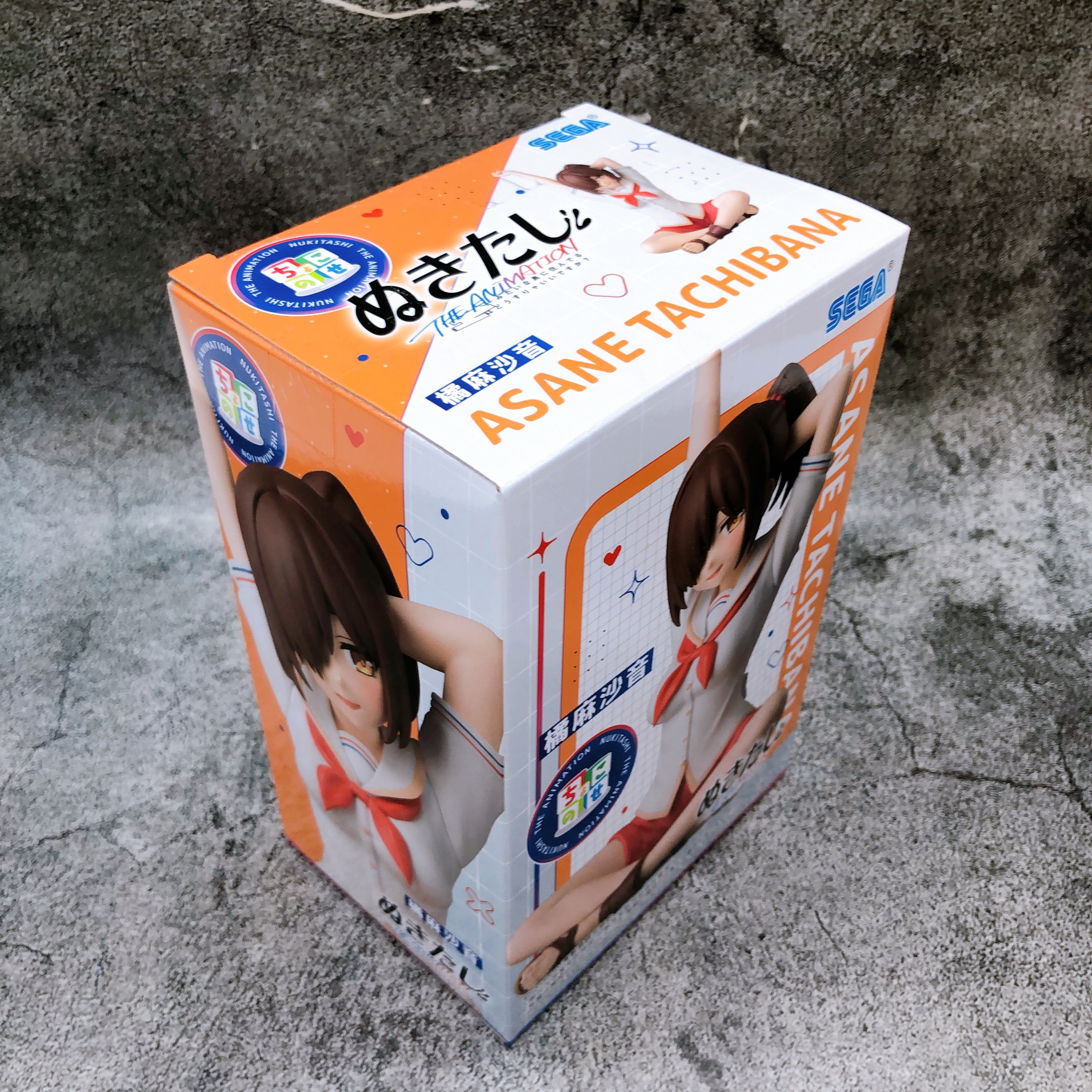 Nukitashi THE ANIMATION Asane Tachibana Chokonose Premium Figure SEGA Japan NEW