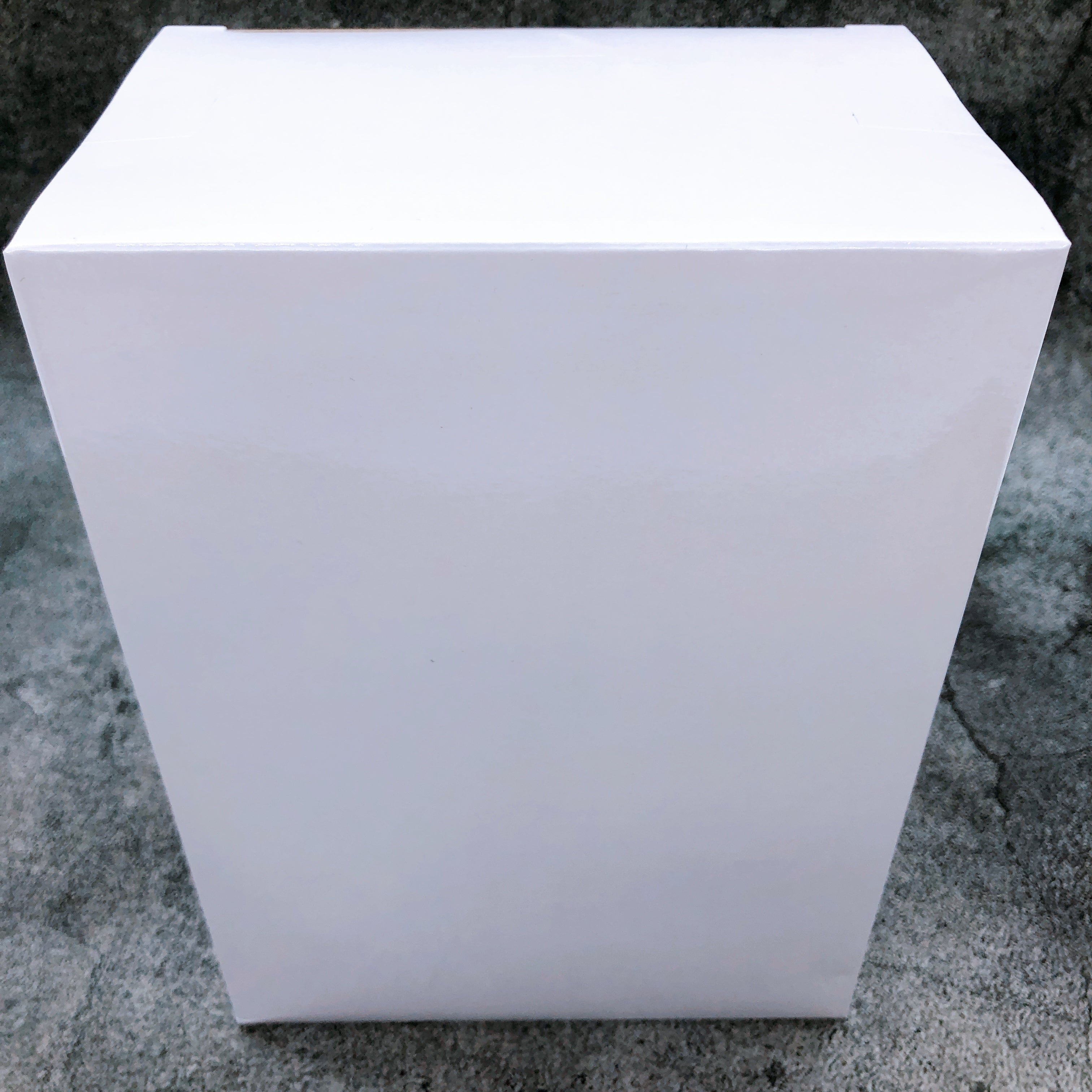 Frieren Beyond Journey's End Frieren Trunk Case ver. Desktop Cute TAITO Limited