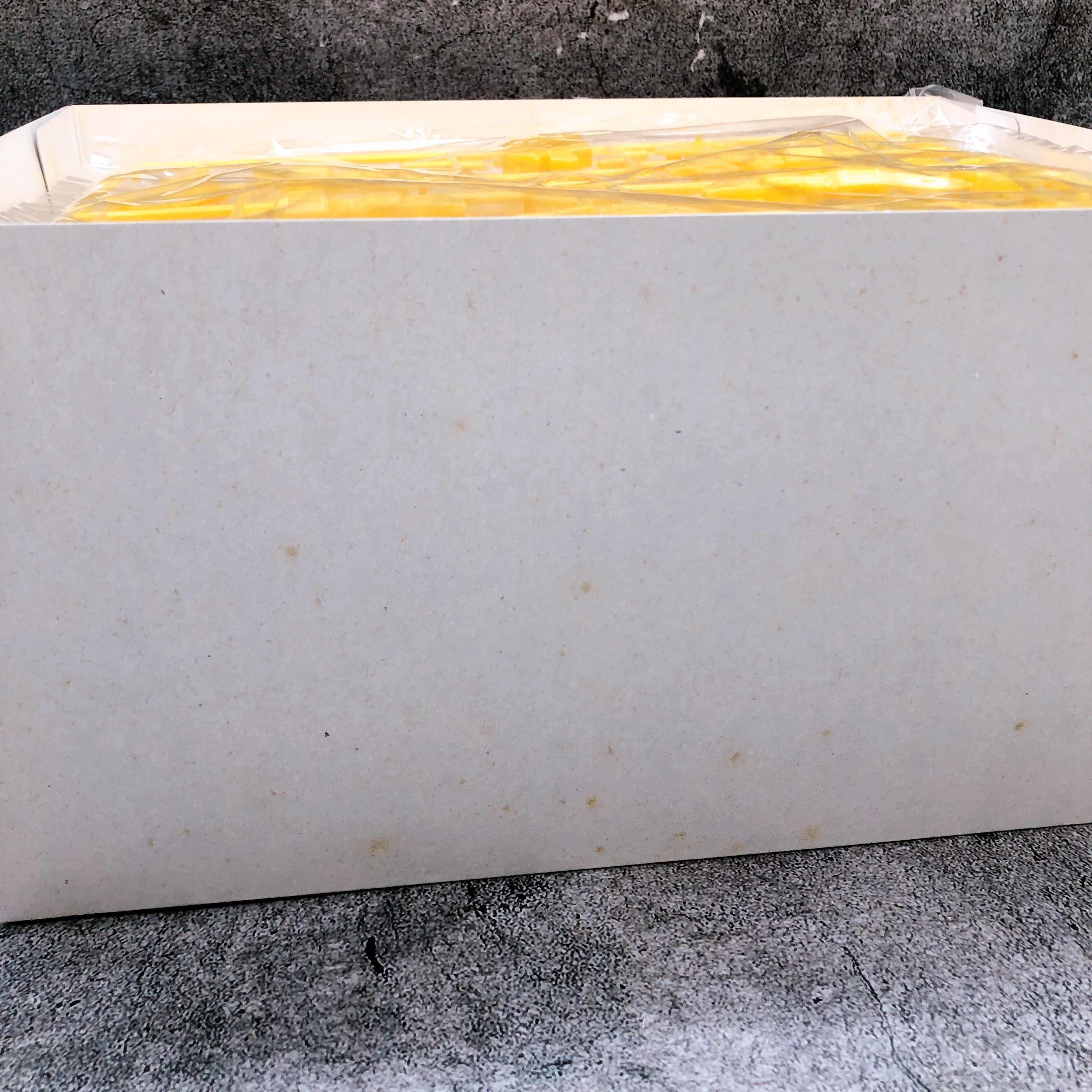 MURAKUMO A.R.K Cloud Breaker Another Color LX-55 1/48 Model Kit PLUM Japan NEW