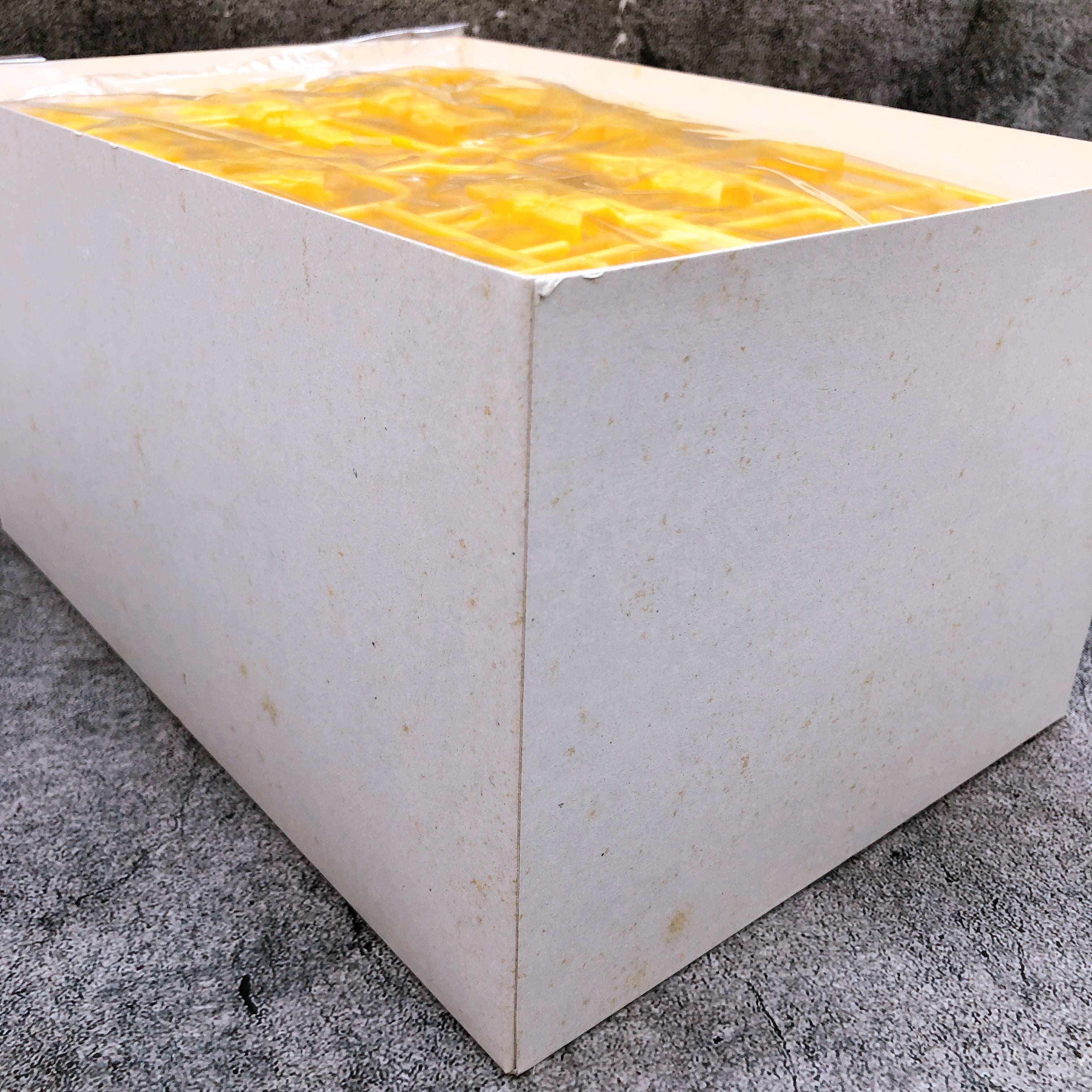 MURAKUMO A.R.K Cloud Breaker Another Color LX-55 1/48 Model Kit PLUM Japan NEW