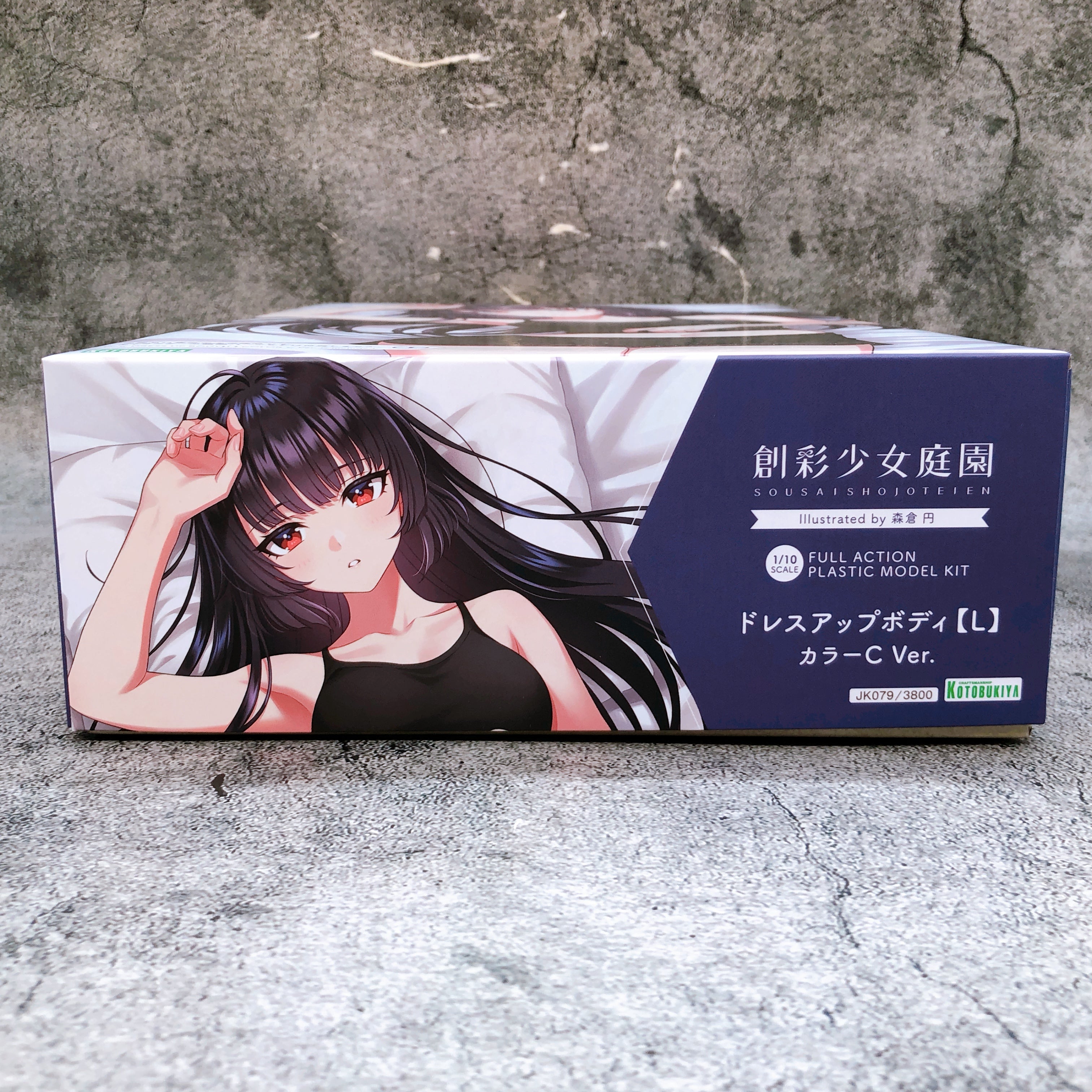 Sousai Shojo Teien Dress Up Body L Color C Ver 1:10 Scale Kit KOTOBUKIYA Japan