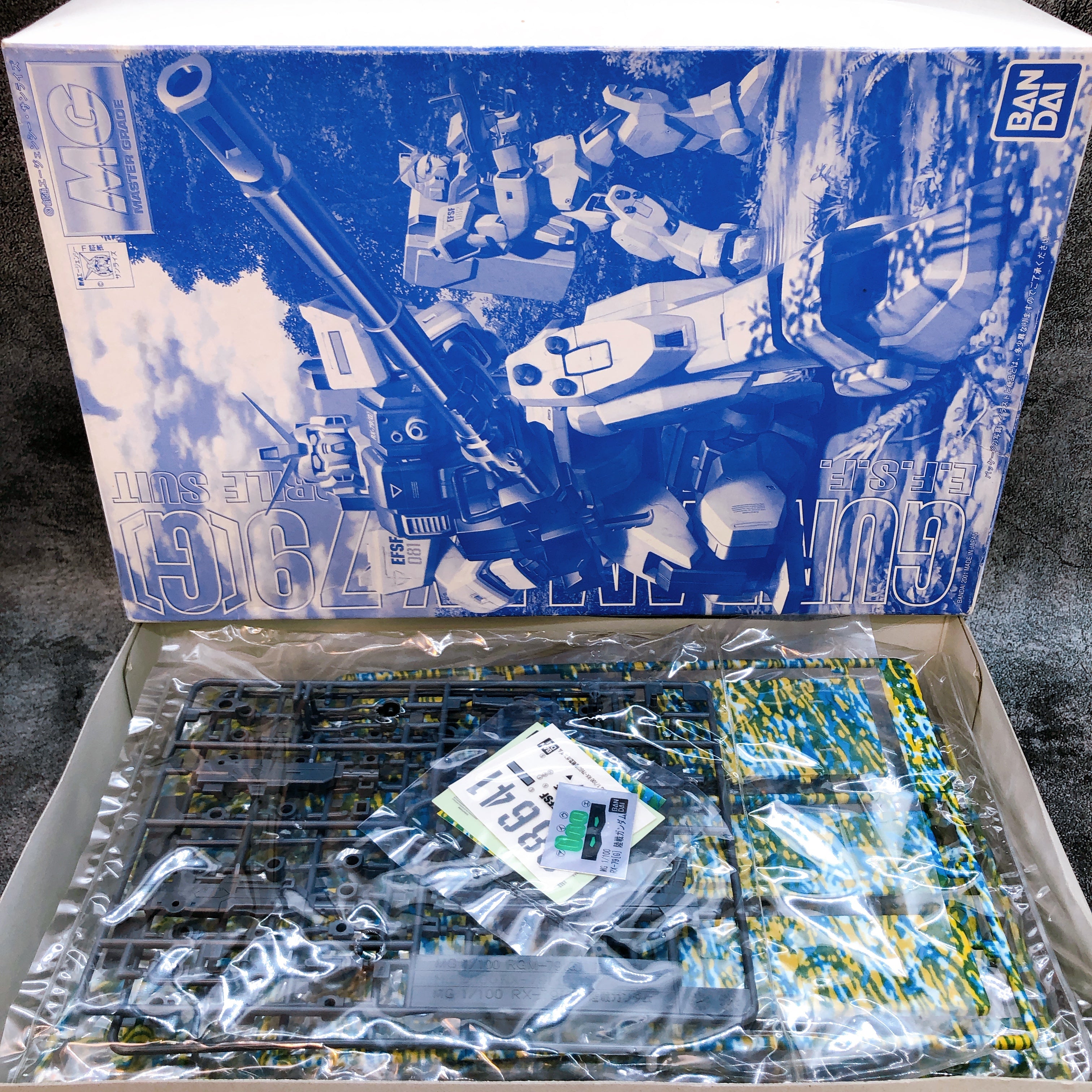 MG 1/100 Gundam Ground Type Cold Districts Ver. Rare Model Kit 15+ Bandai Japan