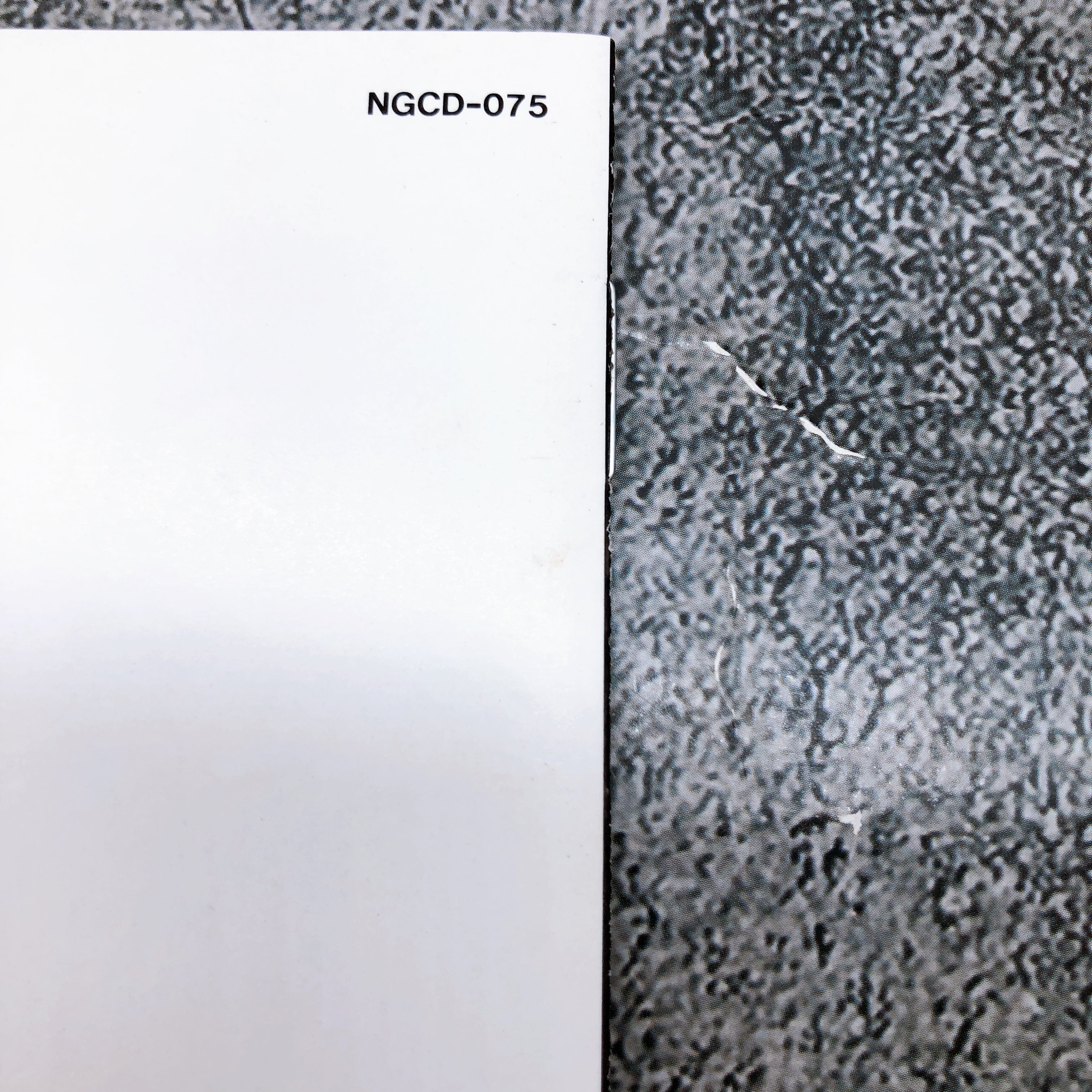 Neo Geo CD Sonic Wings 2 VIDEO SYSTEM Japan Shooting Game in Stock