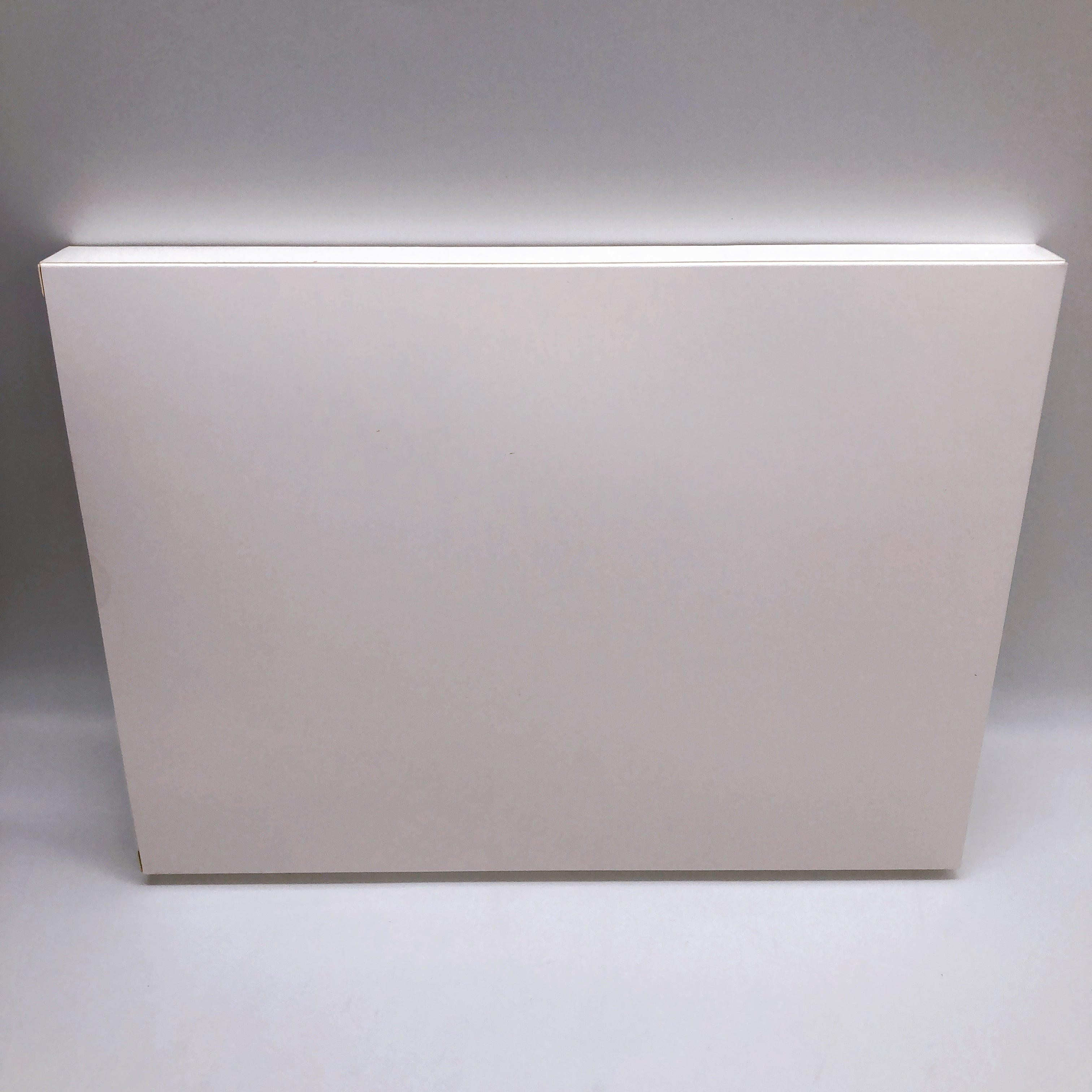 Sylphina Special Ver. Illustration by oekakizuki 1/6 Figure with Limited Bonus