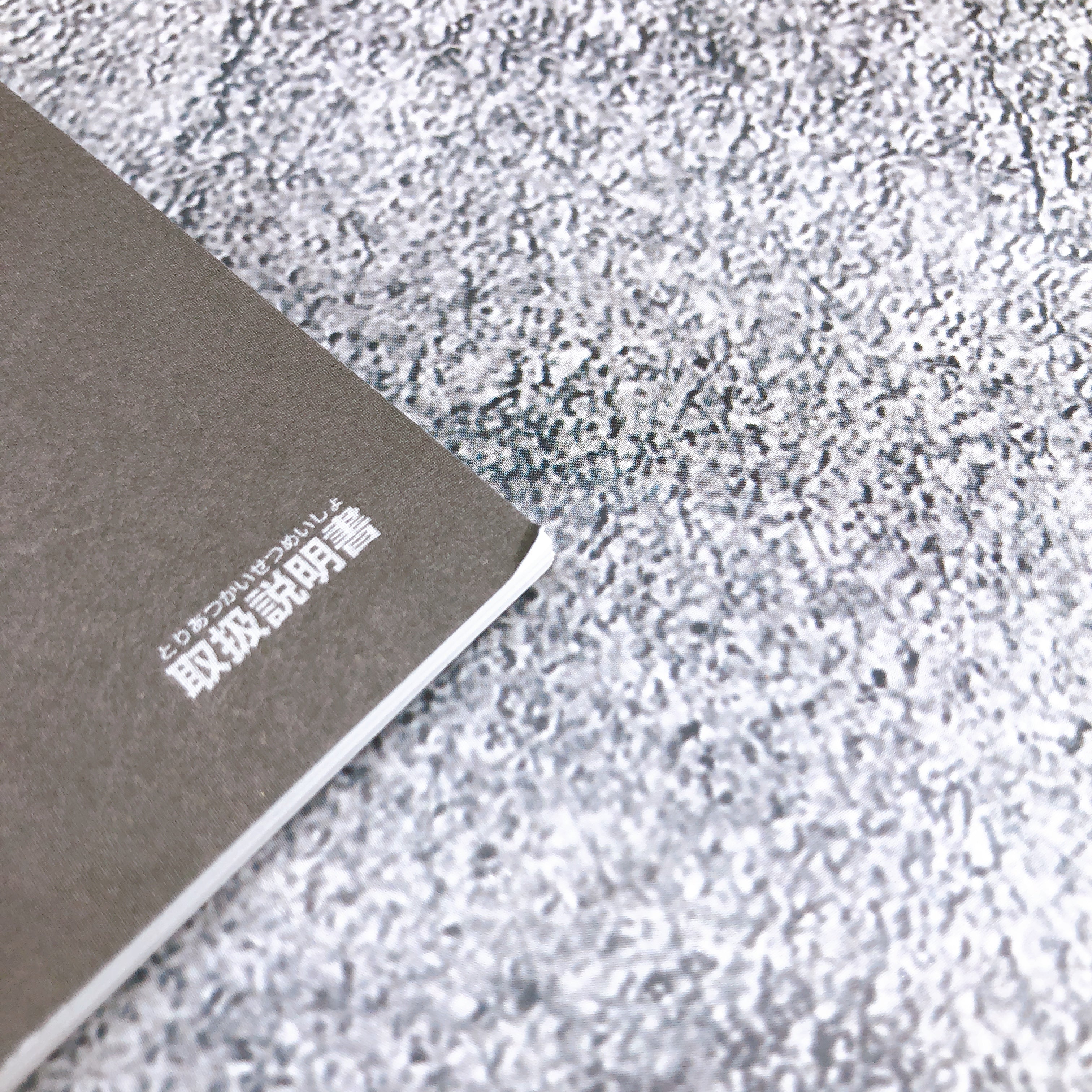 Nintendo GameBoy Advance SP Torchic Orange Achamo Pokemon Center Limited Console