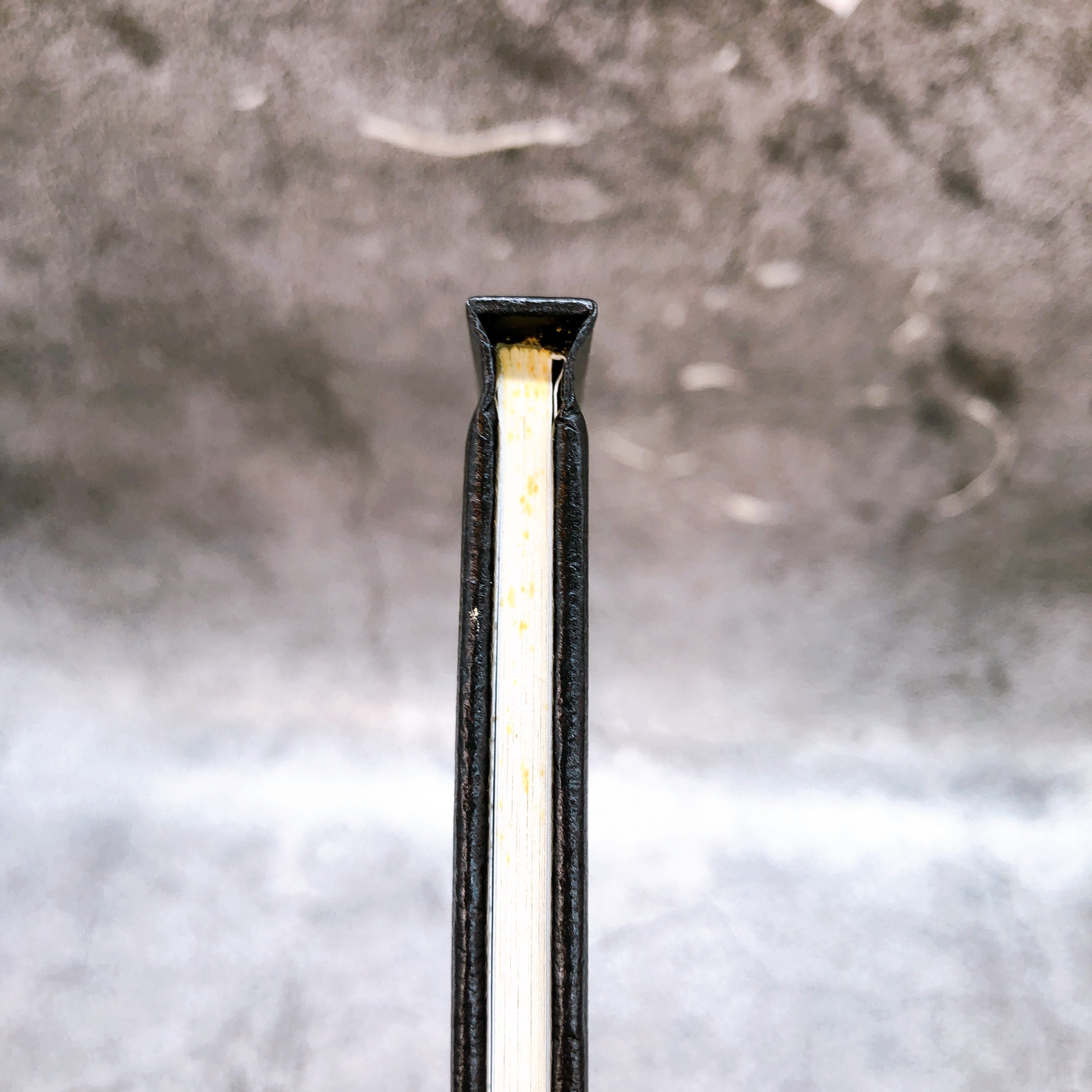 Nintendo GameCube BIOHAZARD Collector's Box Resident Evil GC Capcom Game NEW