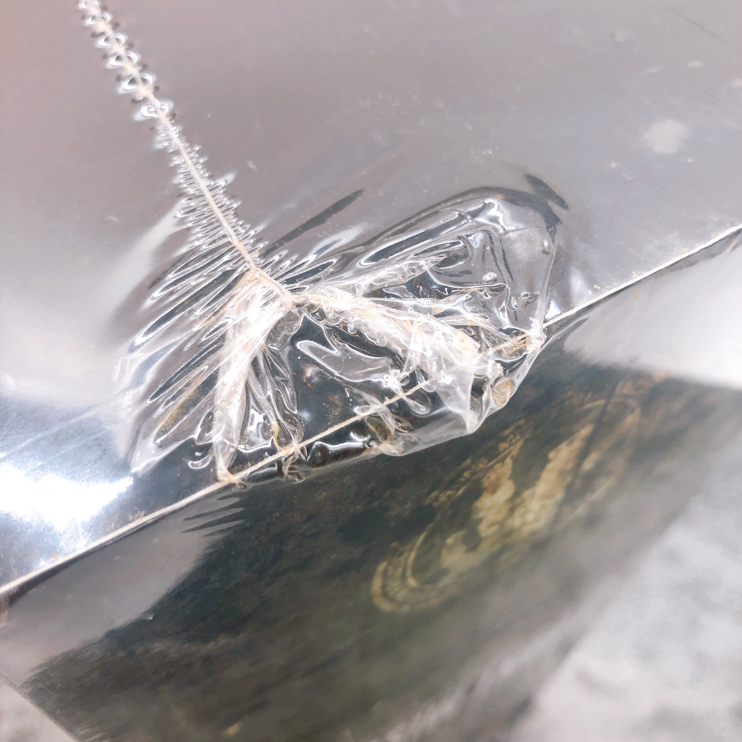 Playstation Front Mission History Limited Edition PS1 Square Enix Sealed New