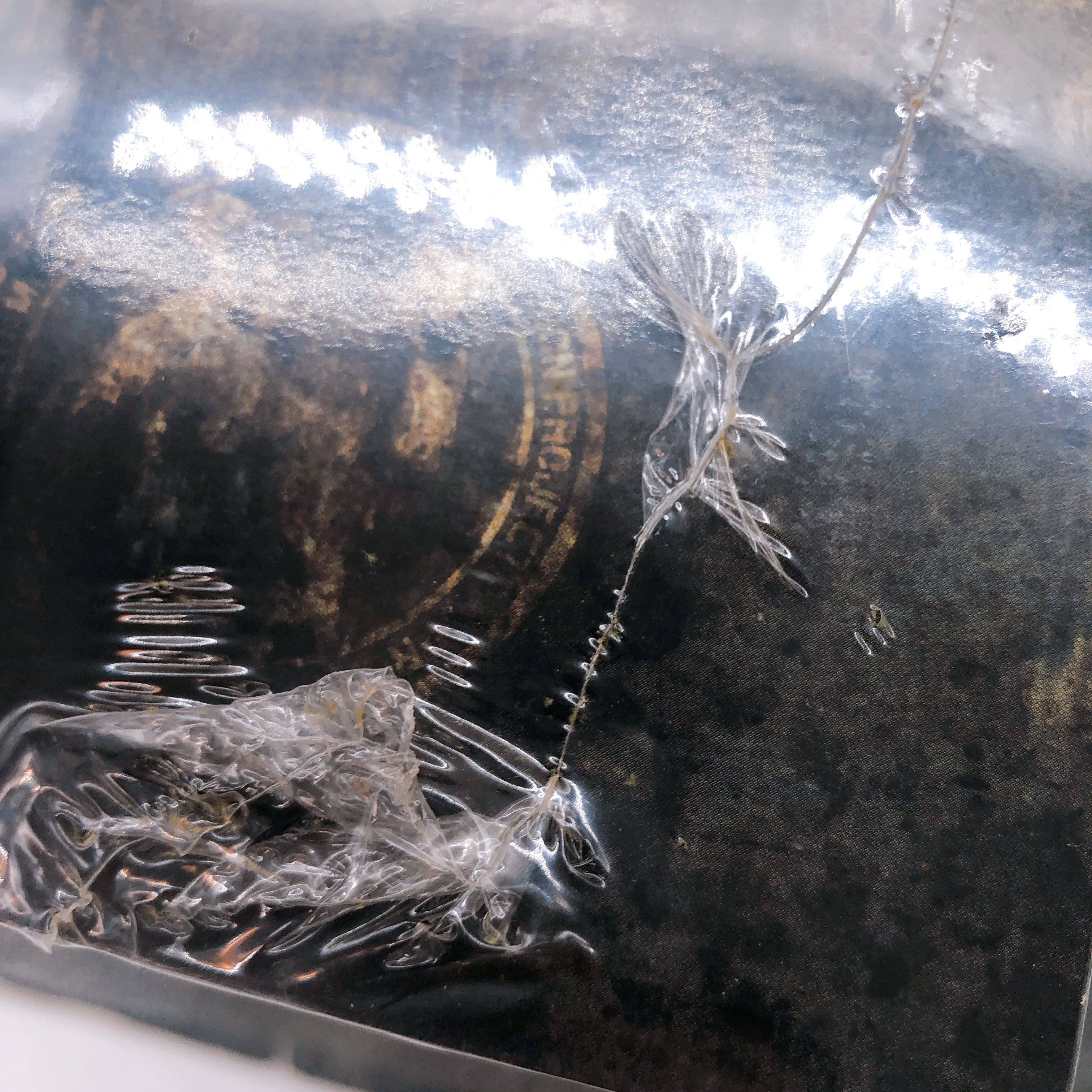 Playstation Front Mission History Limited Edition PS1 Square Enix Sealed New