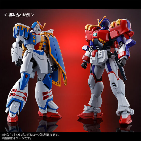 HG 1/144 Gundam Maxter & Gundam Rose & Dragon Gundam Set Kit Premium Bandai NEW