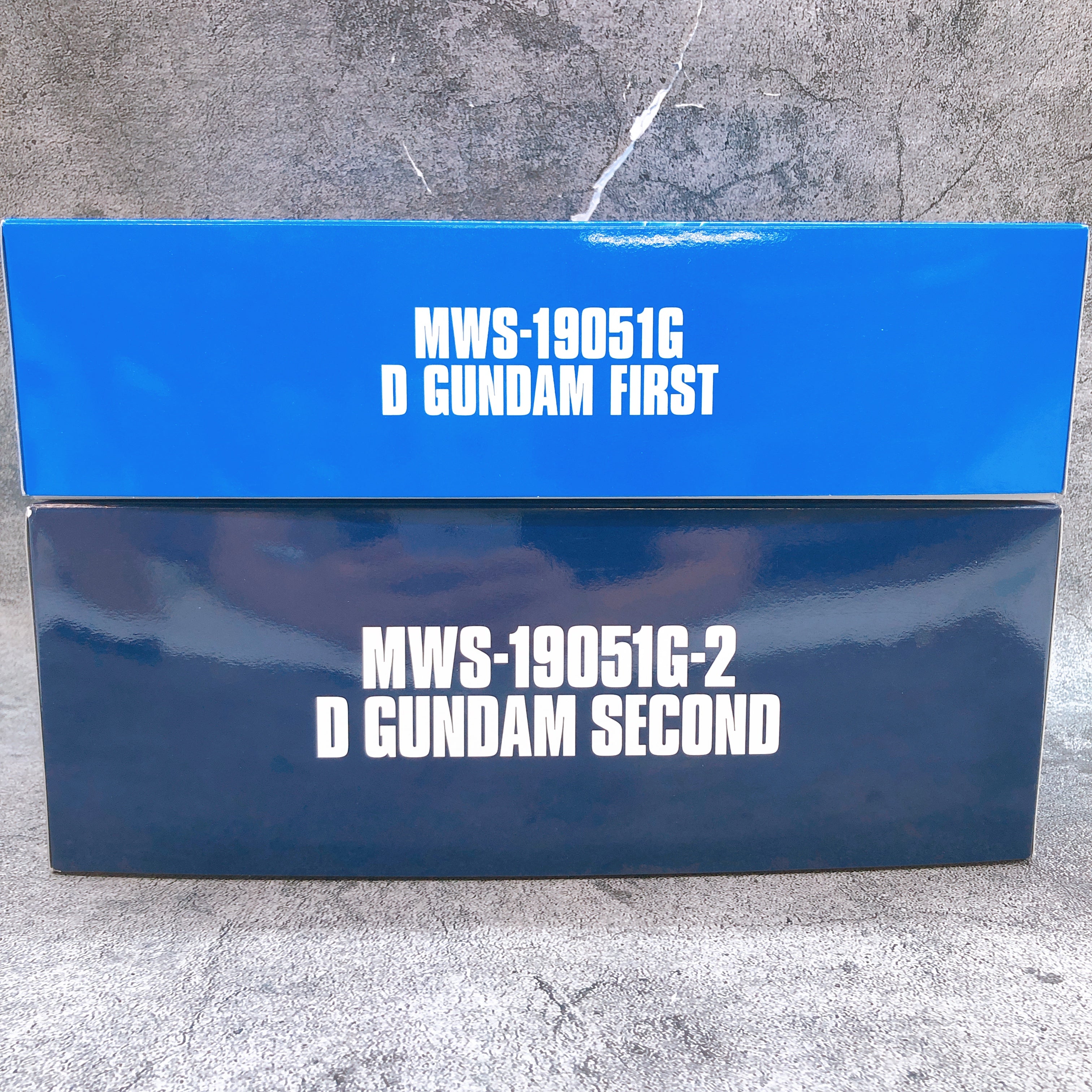 HG 1/144 D Gundam First & D Gundam Second Set Model Kit 15+ Premium Bandai NEW
