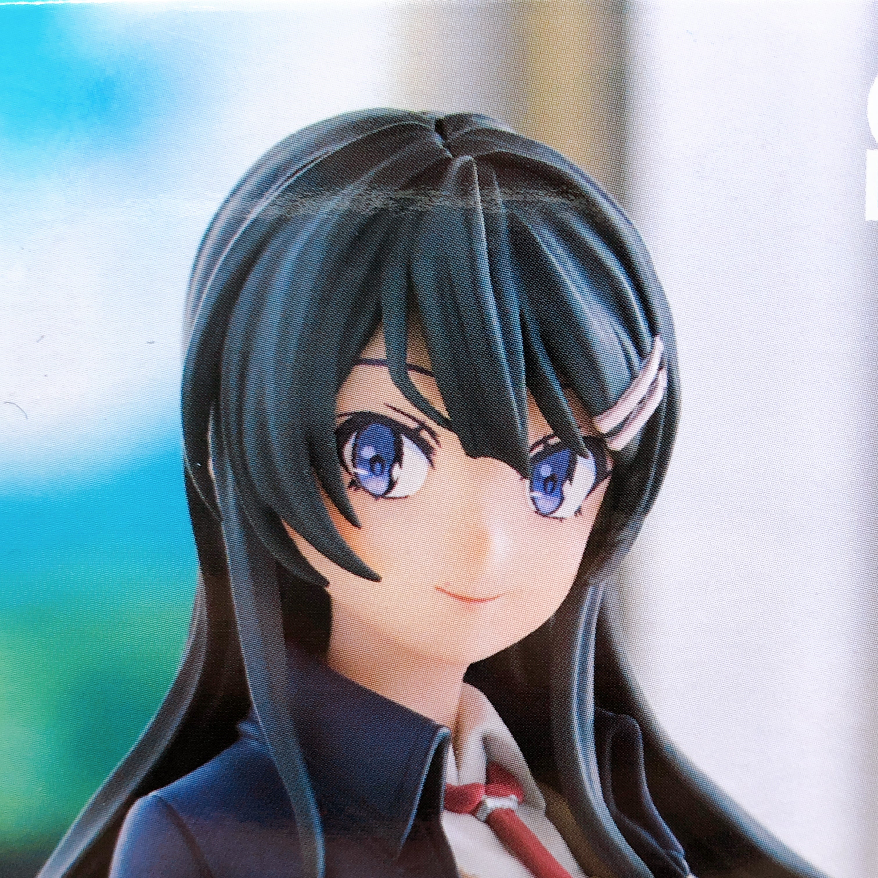 Rascal Does Not Dream of a Sister on an Outing Mai Sakurajima Luminasta Figure