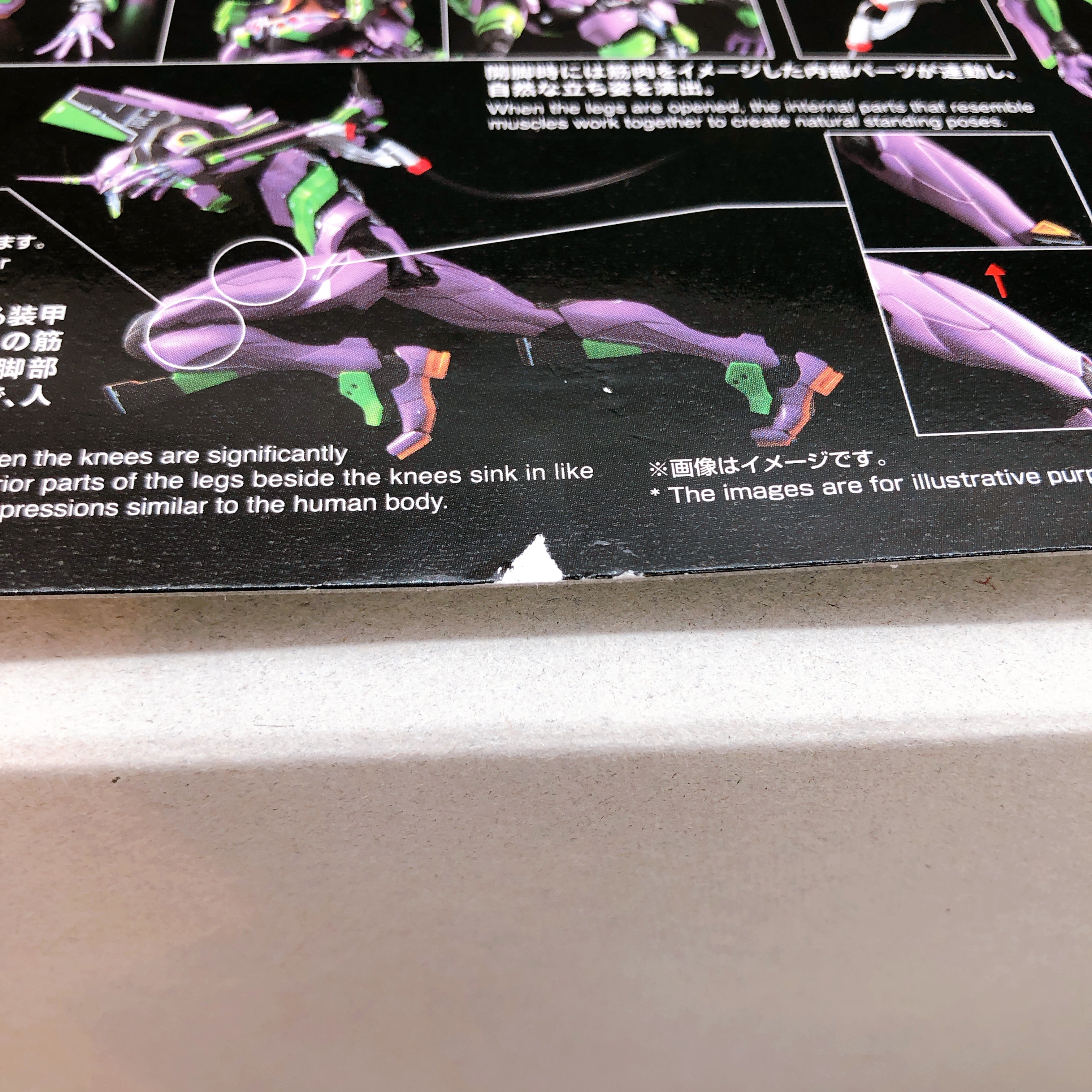 RG Evangelion Unit-01 EVA-01 Neon Genesis Evangelion Model Kit Bandai Japan NEW