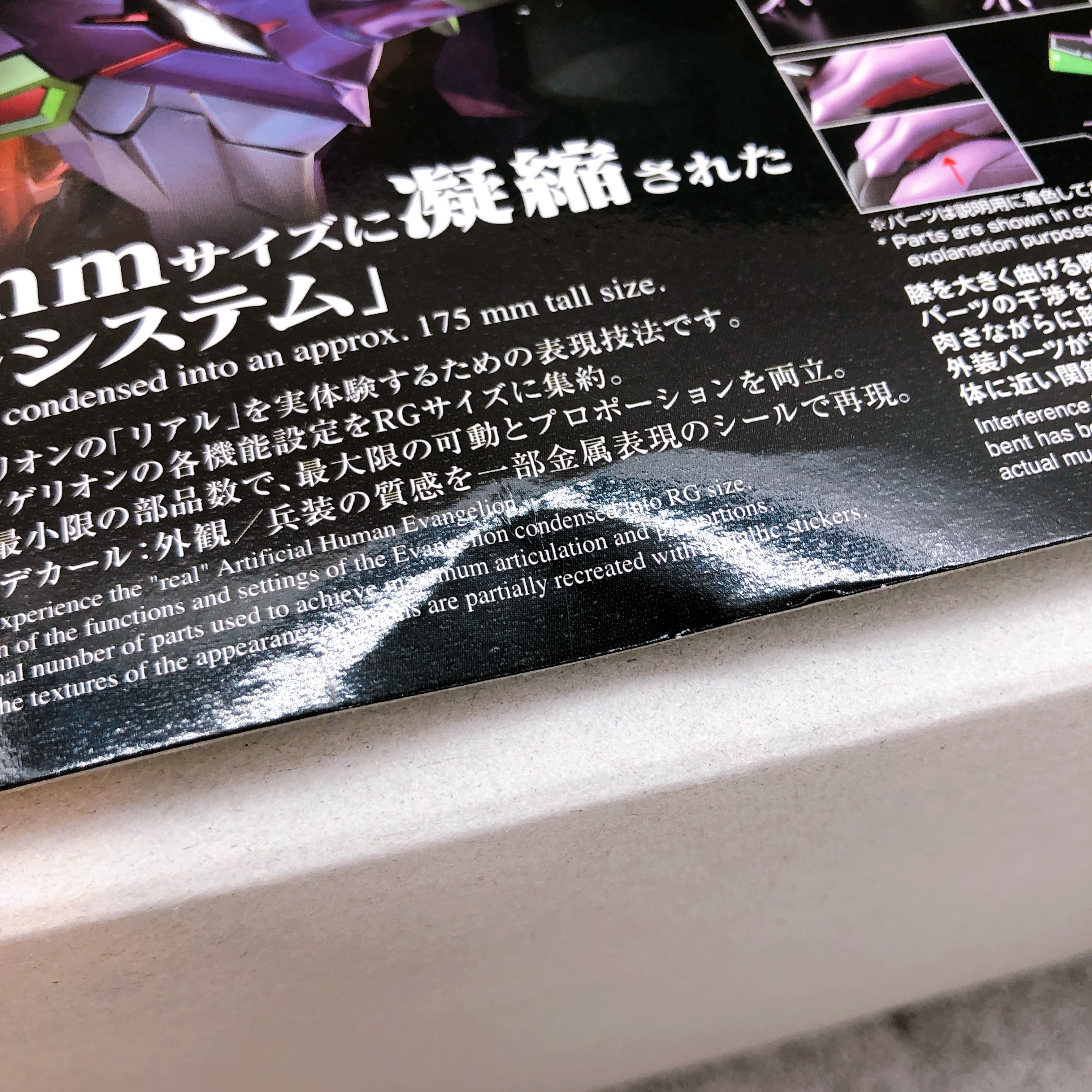 RG Evangelion Unit-01 EVA-01 Neon Genesis Evangelion Model Kit Bandai Japan NEW