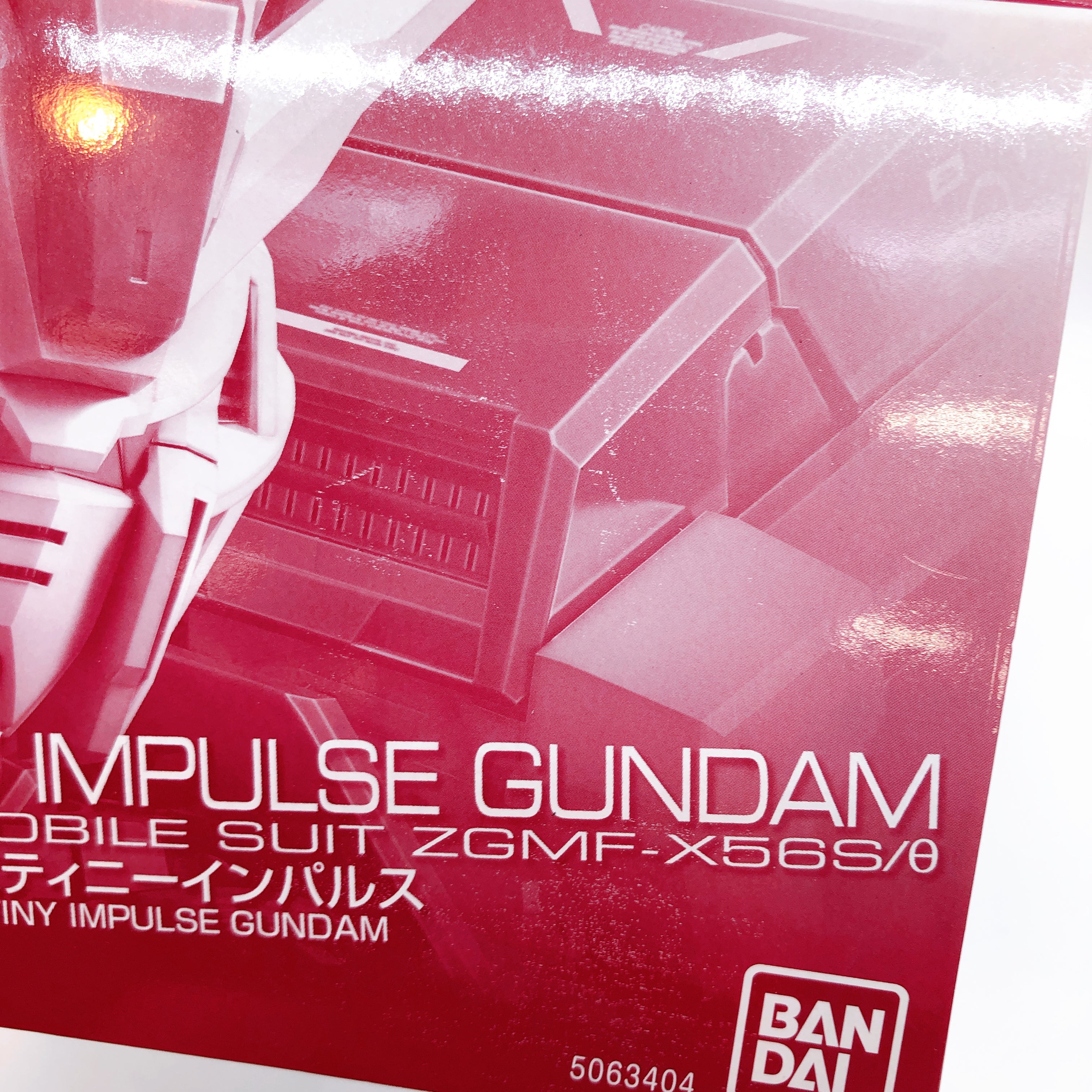 RG 1/144 Destiny Impulse Gundam Gunpla Model Kit Premium BANDAI NEW FASTSHIP