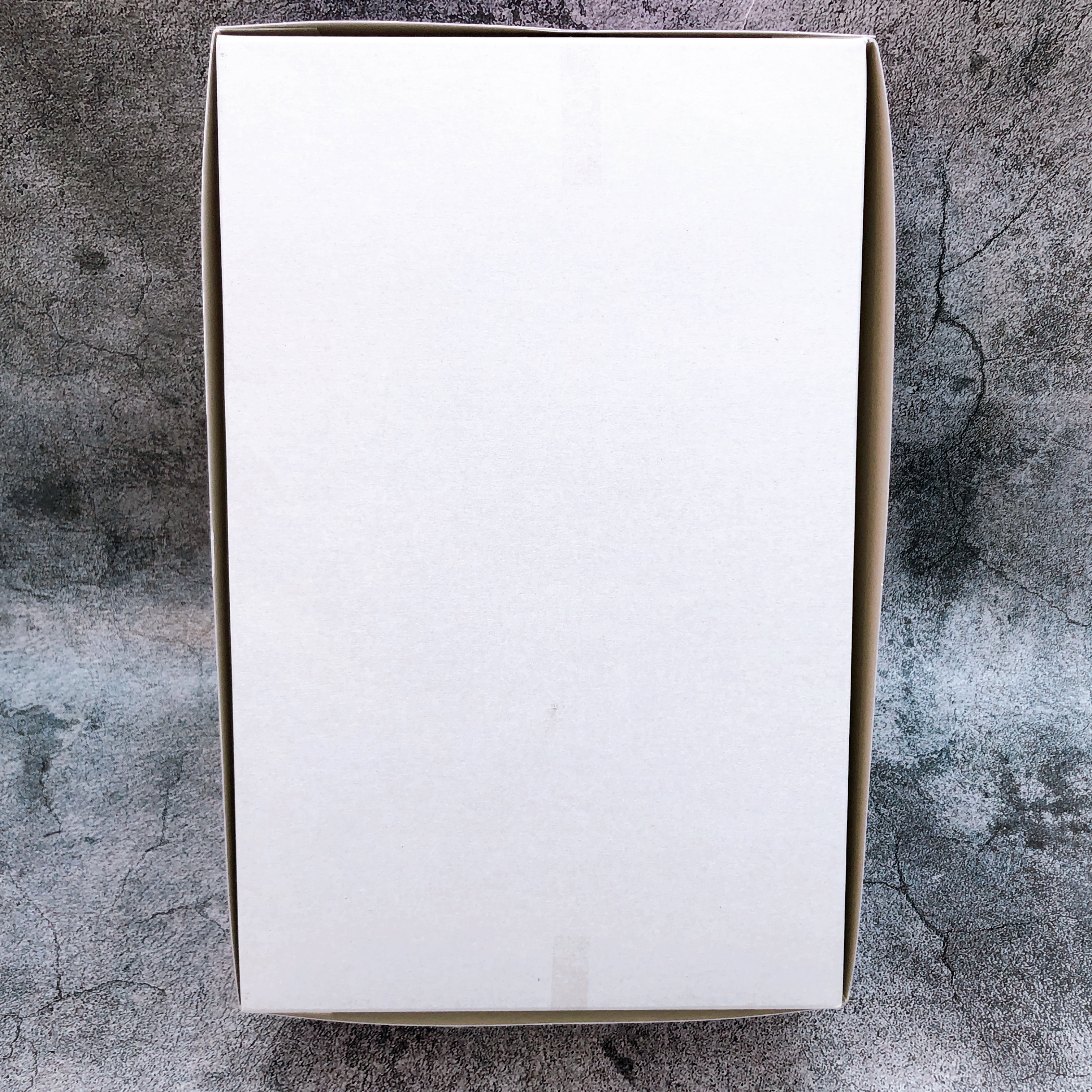 MG 1/100 Gundam F90 Unit 2 Gunpla Model Kit Premium Bandai from Japan NEW