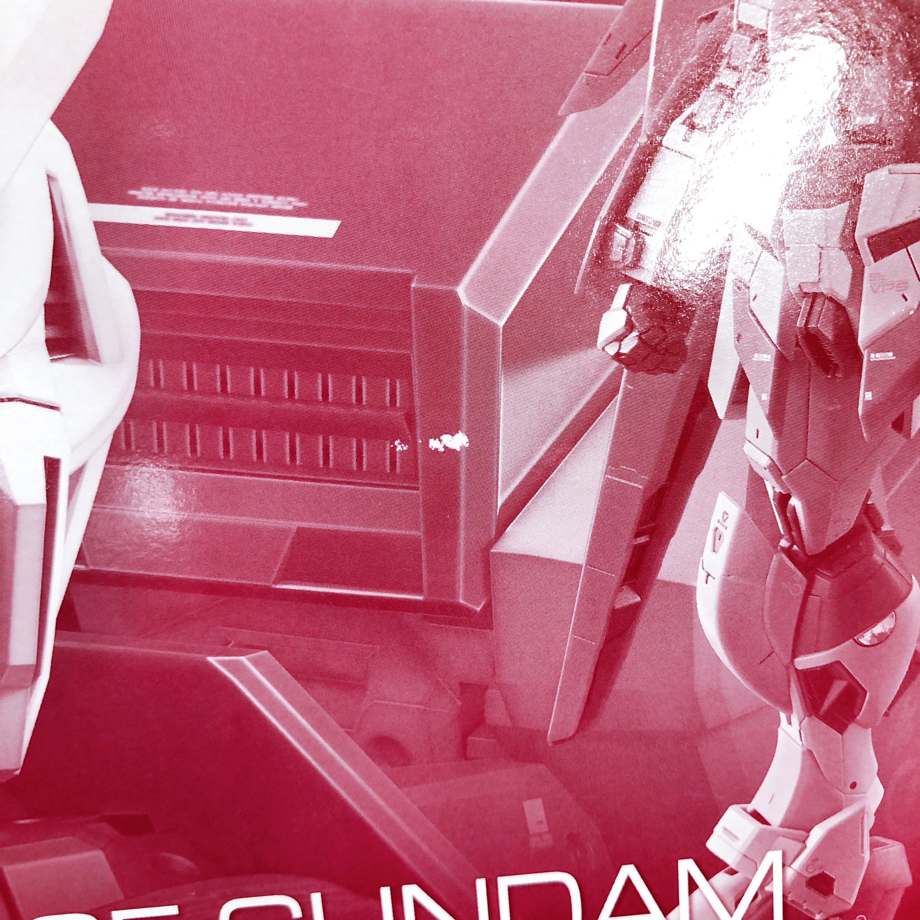 RG 1/144 Destiny Impulse Gundam Gunpla Model Kit Premium BANDAI NEW FASTSHIP