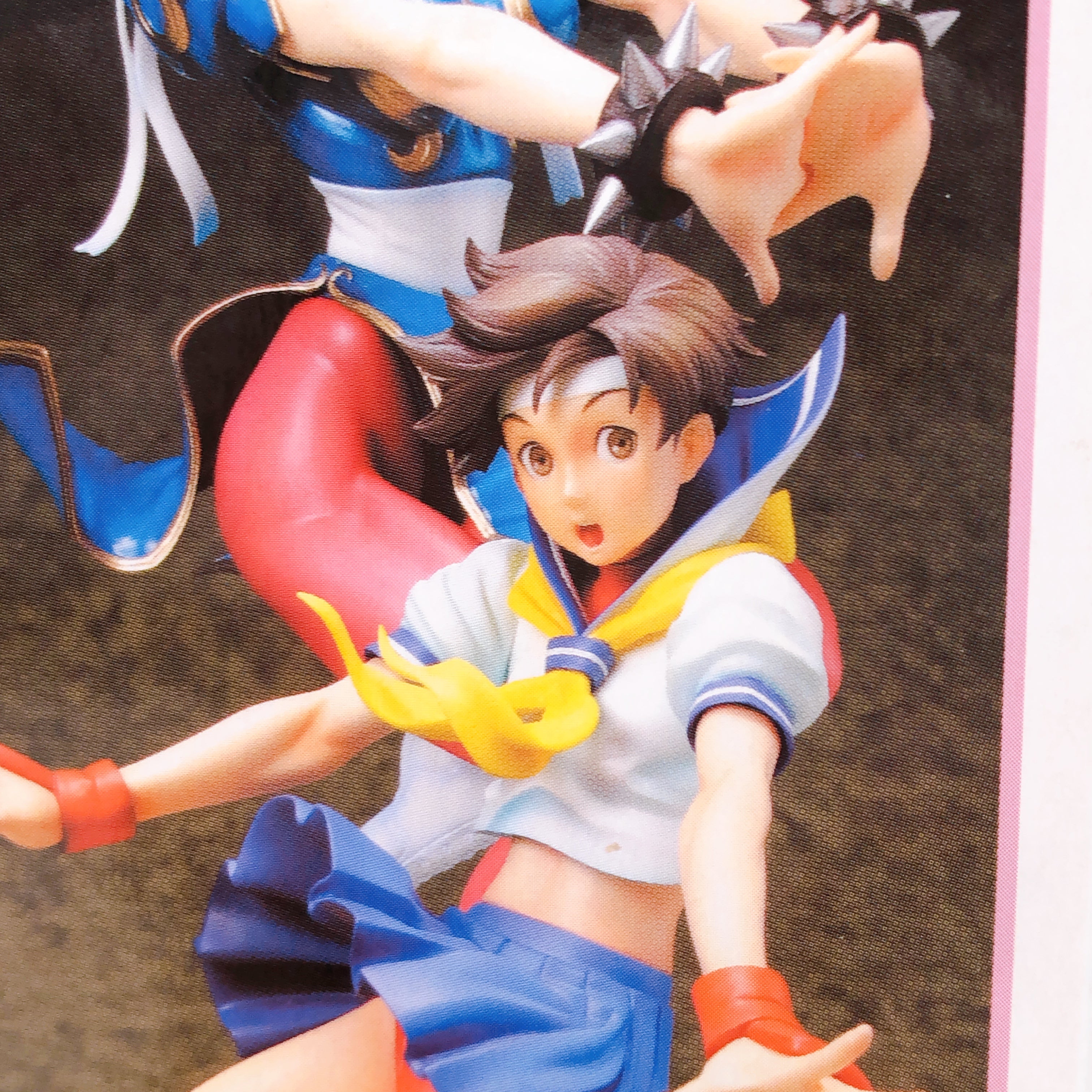 SAKURA Nishimura Kinu Collection Street Fighter Girl-Fighting 1/6 Figure NEW