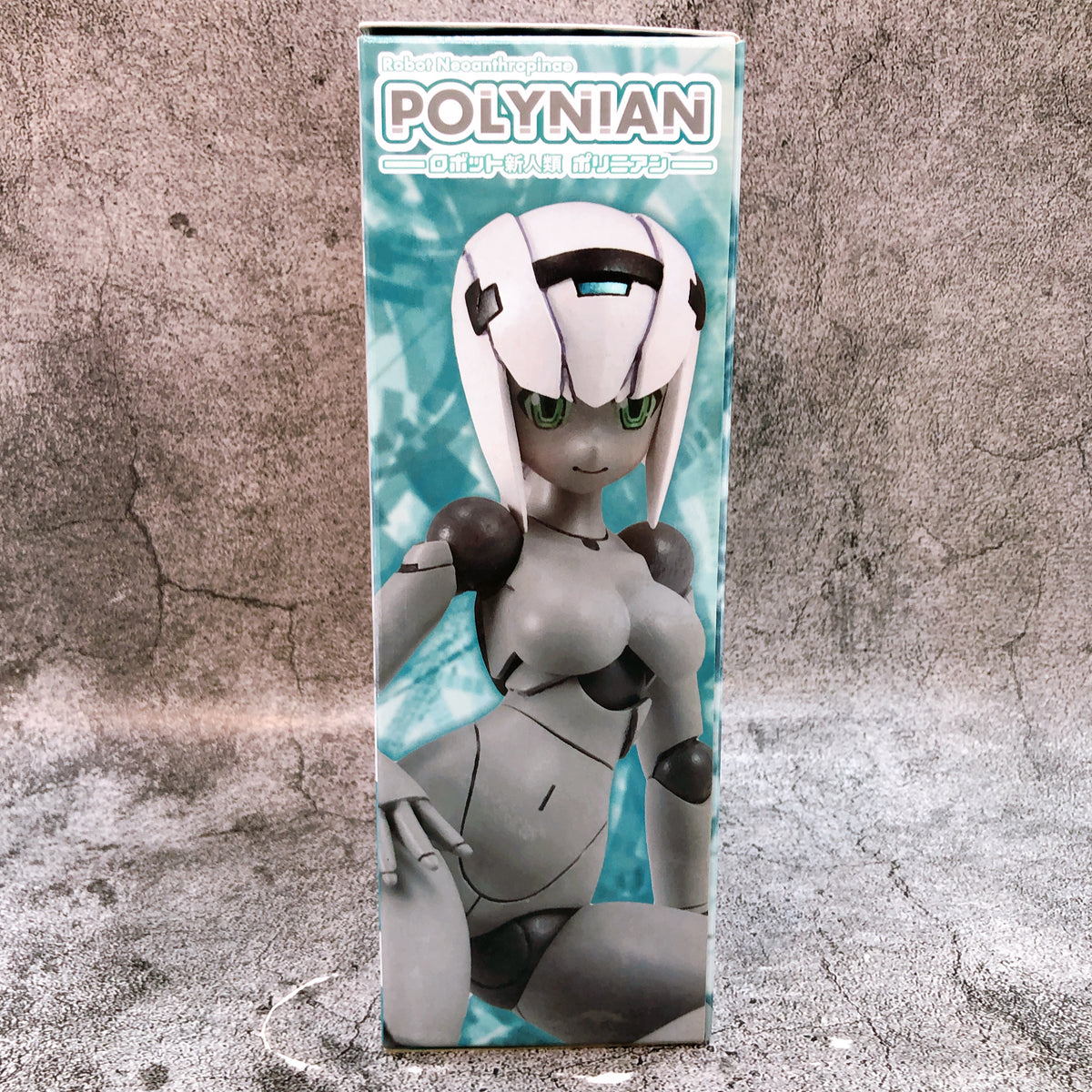 Robot Neoanthropinae Polynian FMM Clover Gray Flesh Action Figure Daibadi 15+