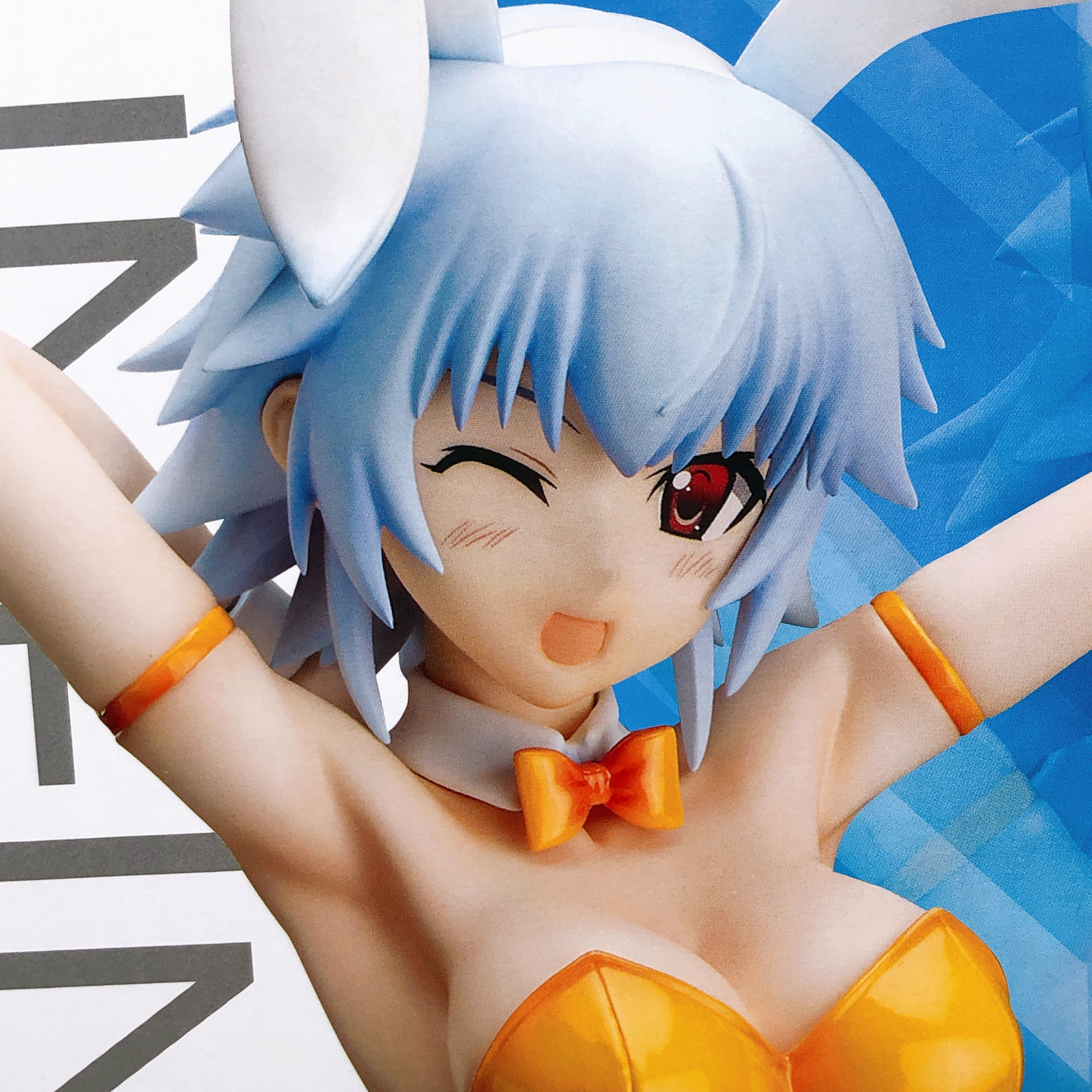 FREEing Infinite Stratos Tatenashi Sarashiki Bunny ver. 1/4 Scale PVC Figure NEW