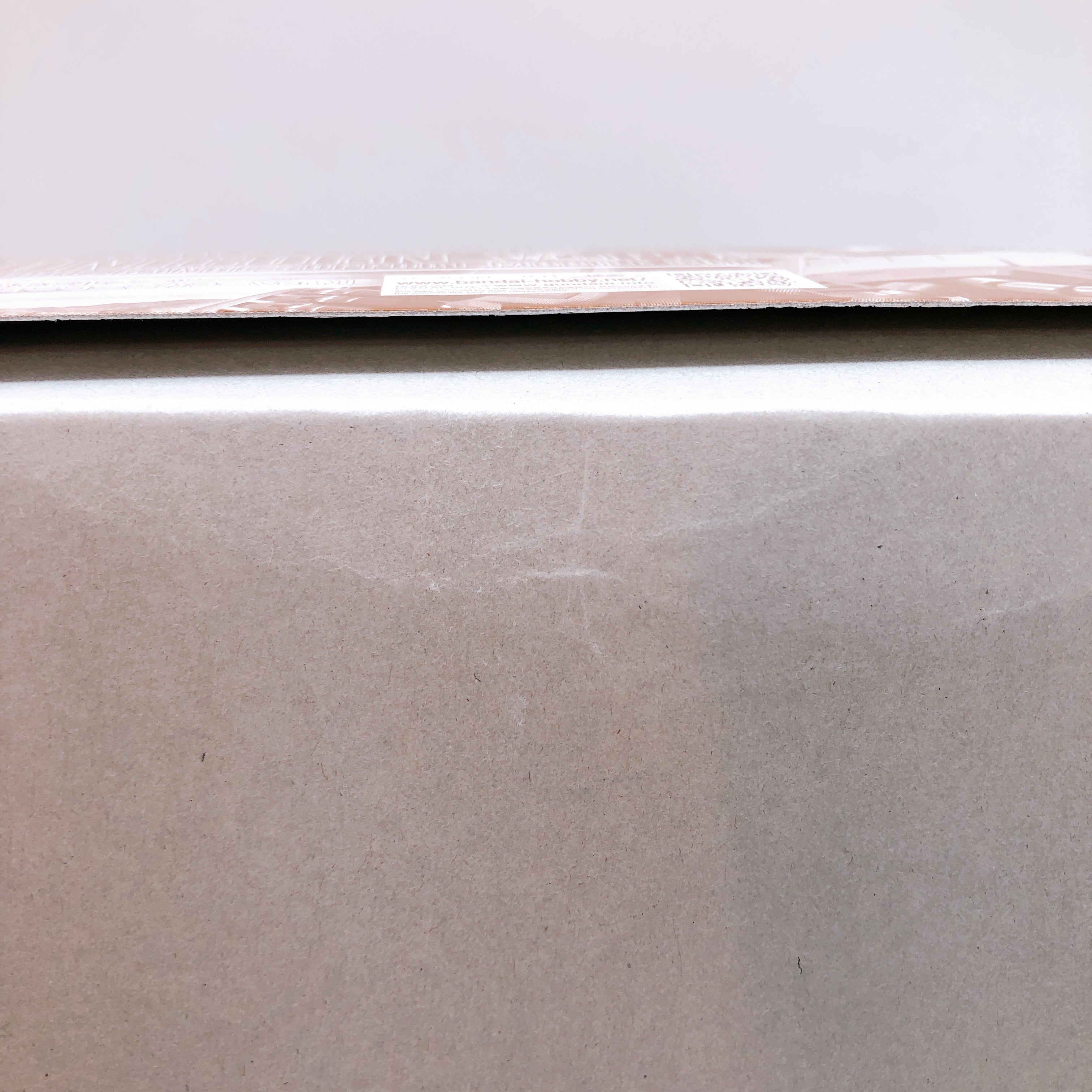 MG 1/100 Zaku Cannon Gundam Unicorn Ver. MS-06K Model Kit Premium Bandai Japan