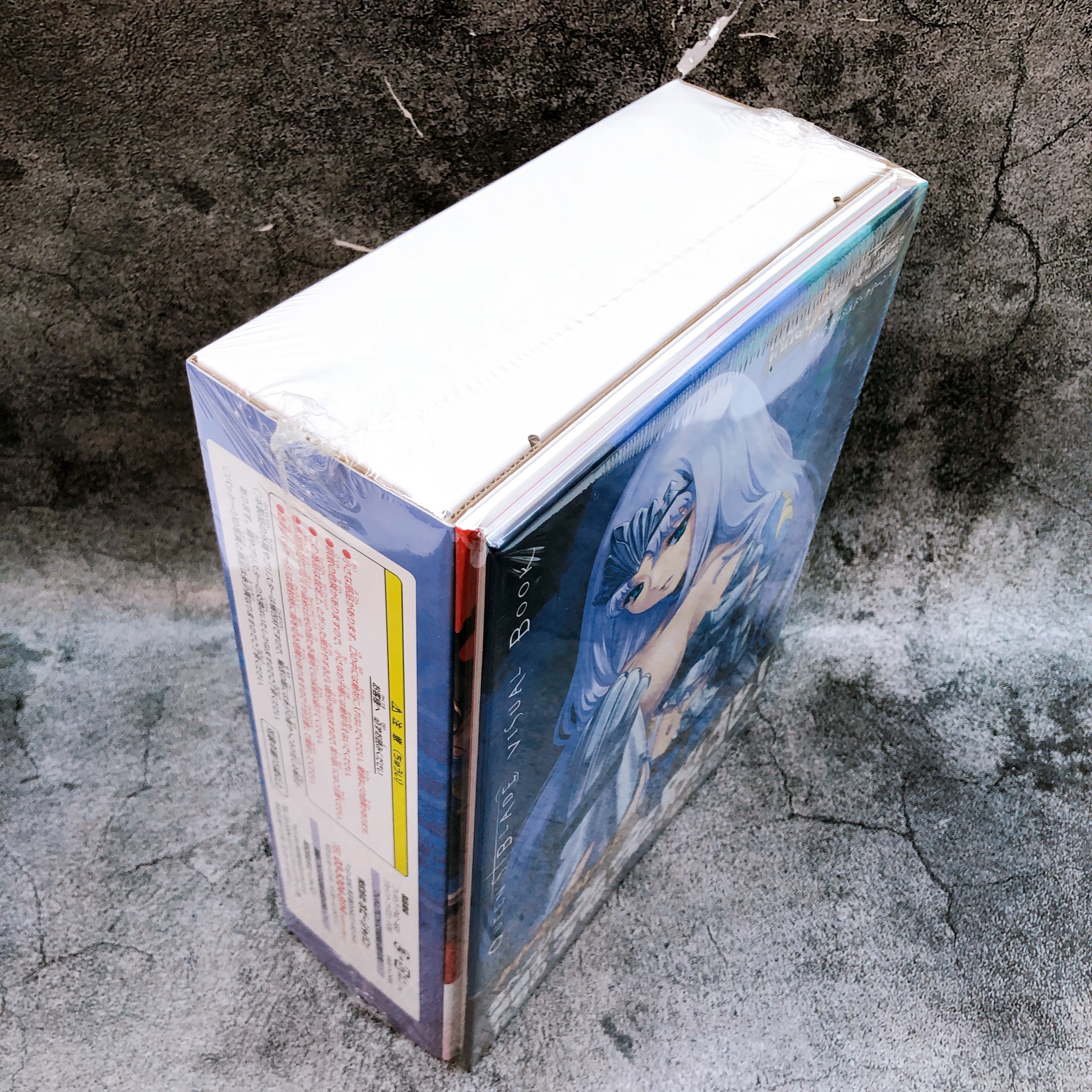 Queen's Blade Annelotte Revoltech Kaiyodo Action Figure + Vanquished Queens Book