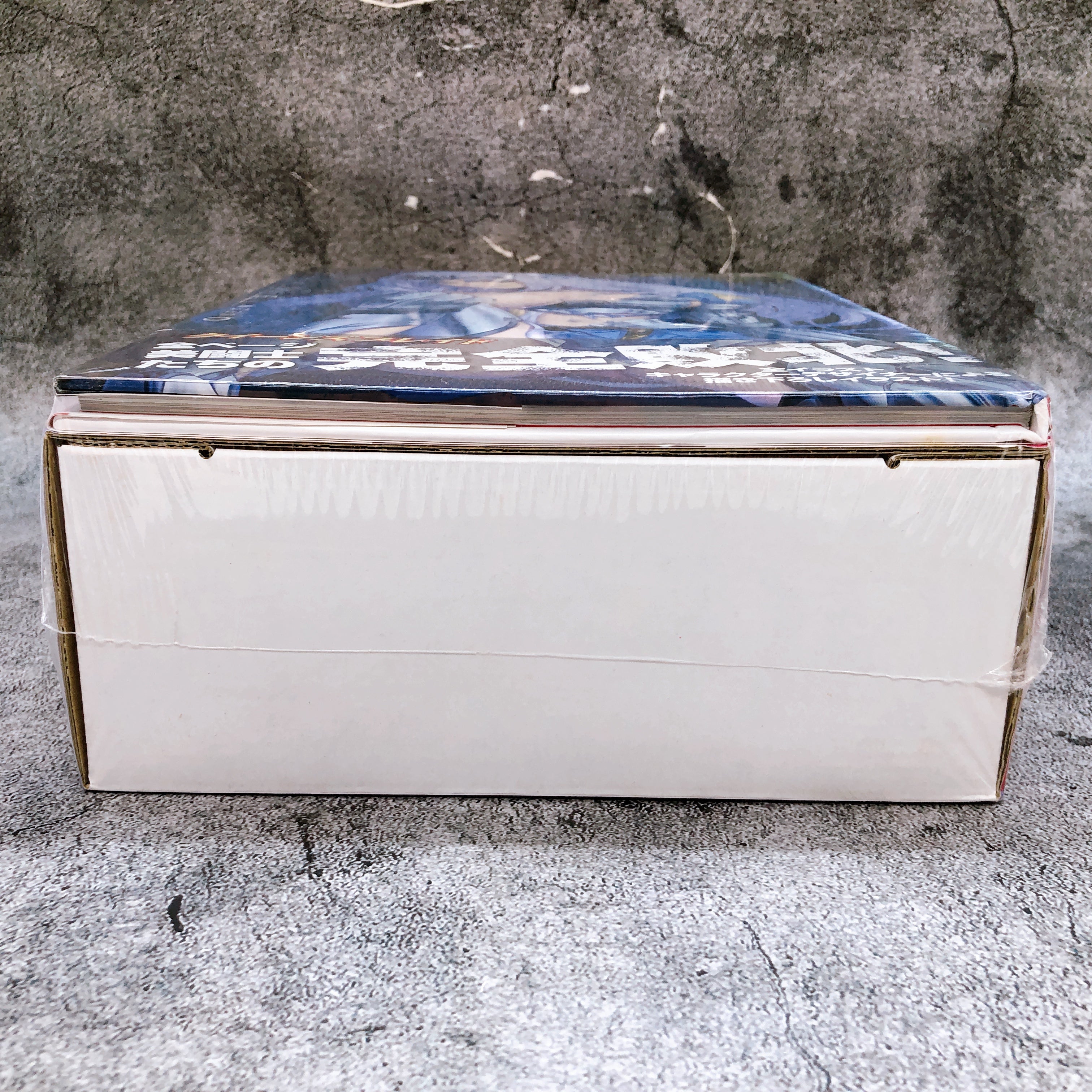 Queen's Blade Annelotte Revoltech Kaiyodo Action Figure + Vanquished Queens Book