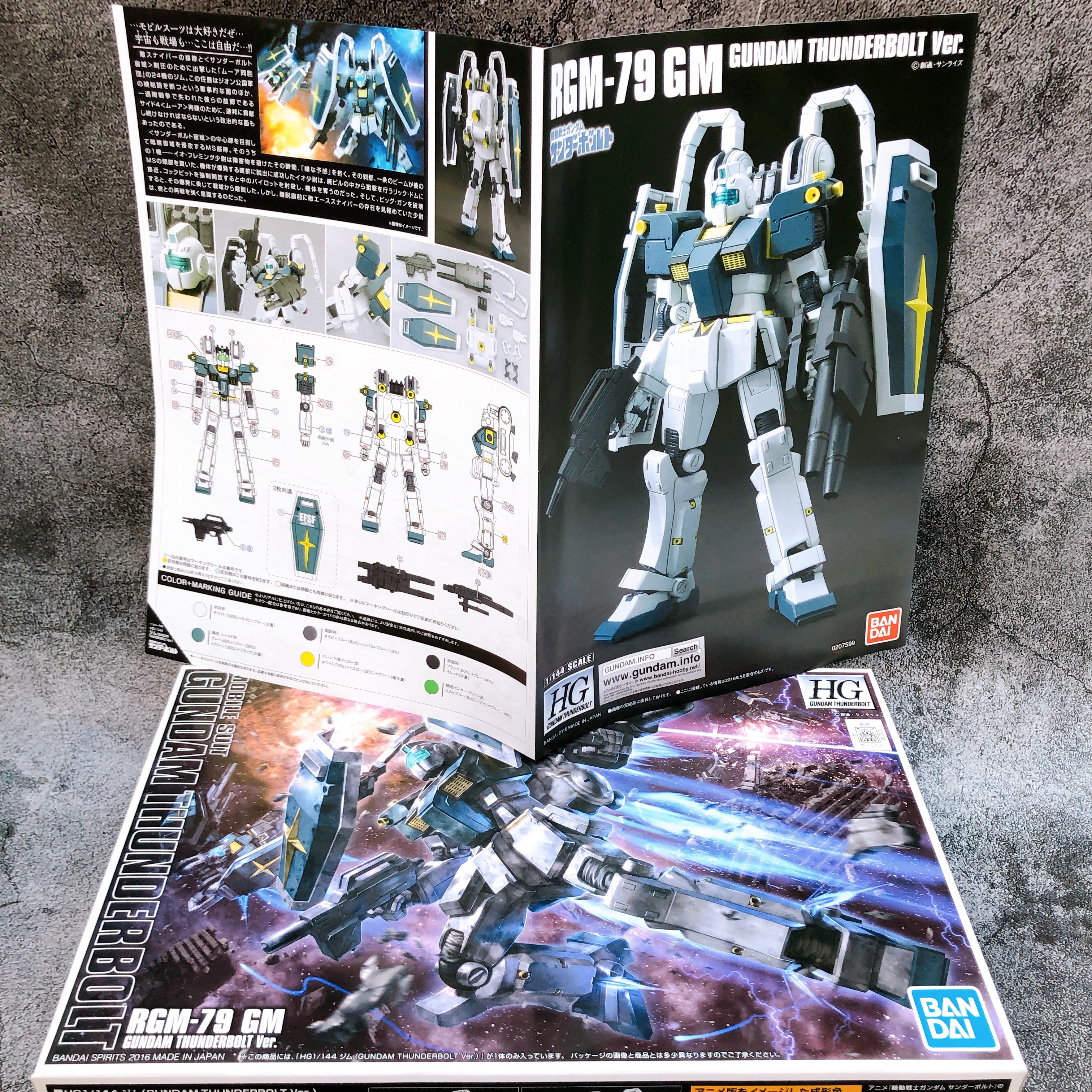 HG 1/144 GM Gundam Thunderbolt Ver RGM-79 Gunpla Model Kit Bandai from