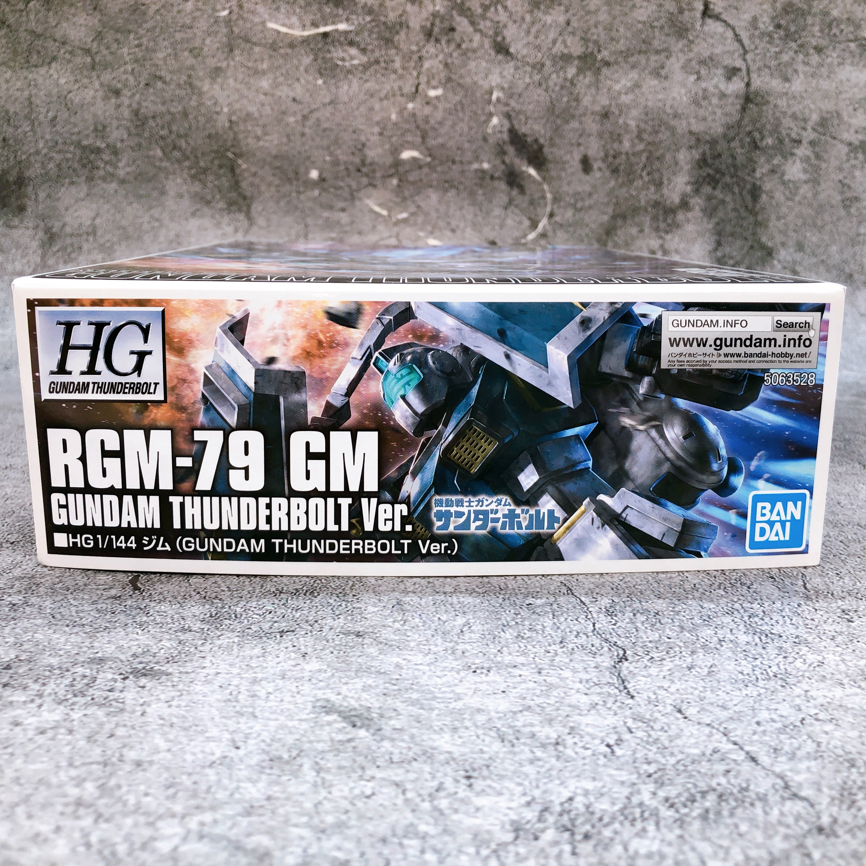 HG 1/144 GM Gundam Thunderbolt Ver RGM-79 Gunpla Model Kit Bandai from Japan NEW