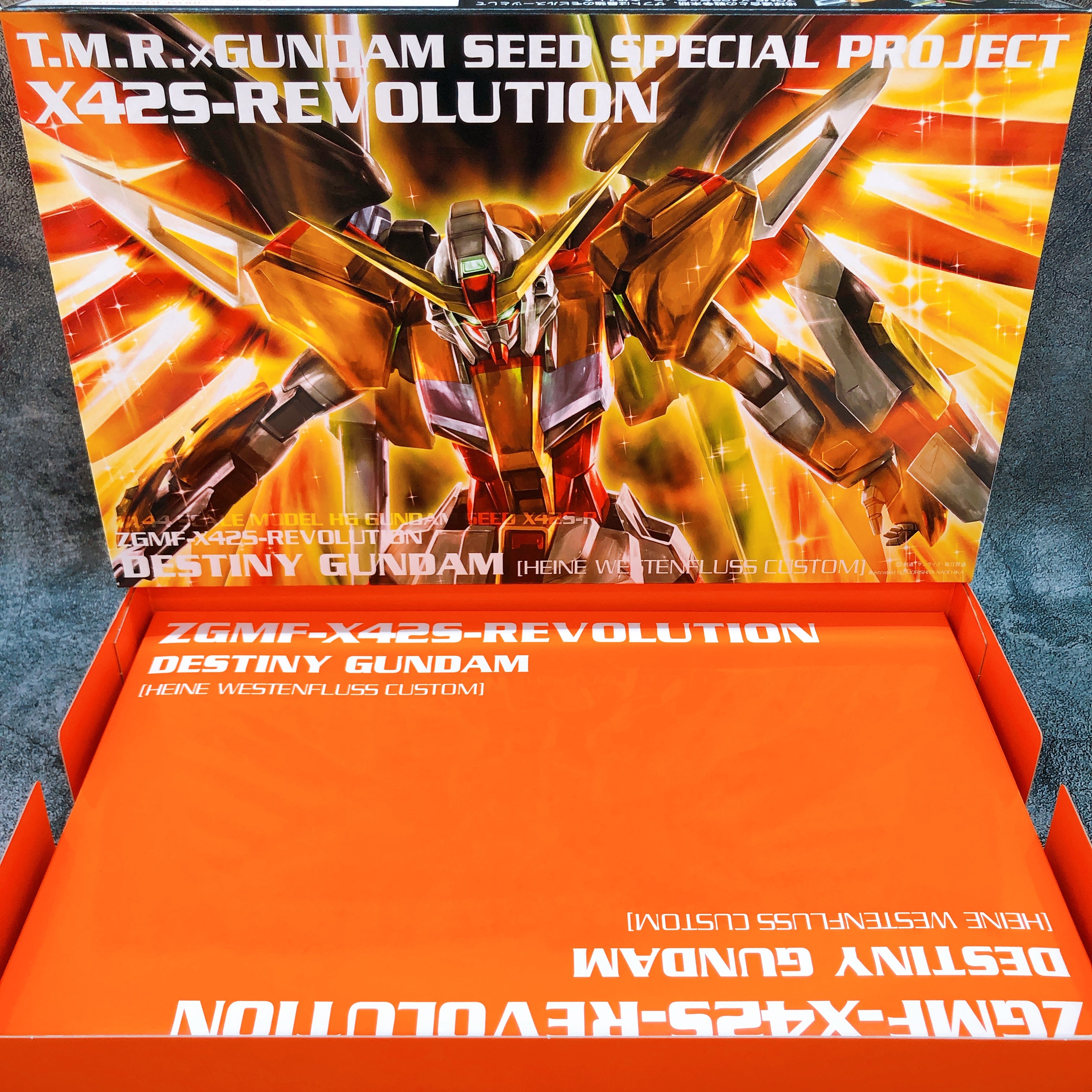 HG 1/144 Destiny Gundam Heine Custom X42S-REVOLUTION First Limited Kit 15+ Japan