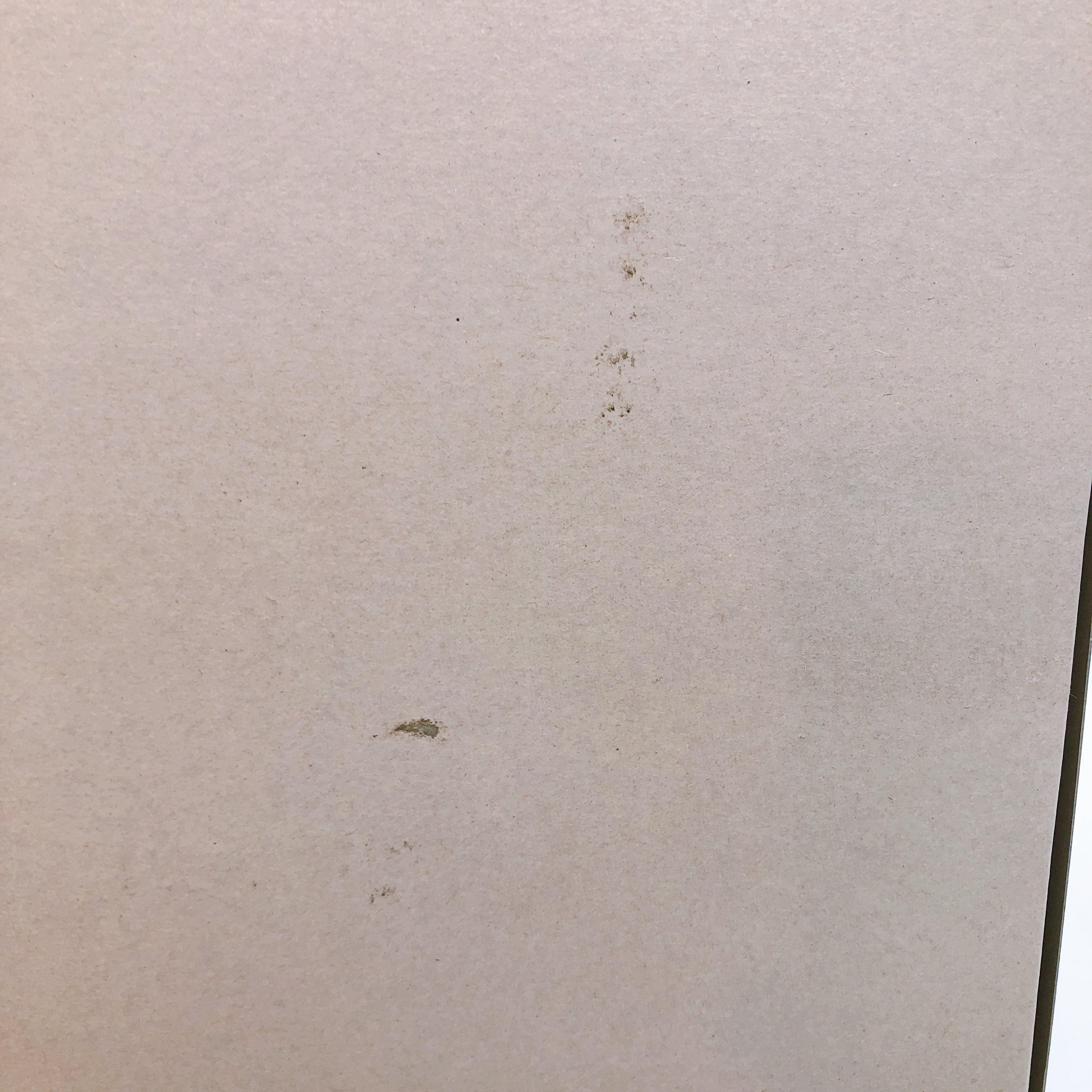 MG 1/100 ZZ Gundam Ver.Ka Clear Color MSZ-010 Limited Model Kit Bandai Japan NEW