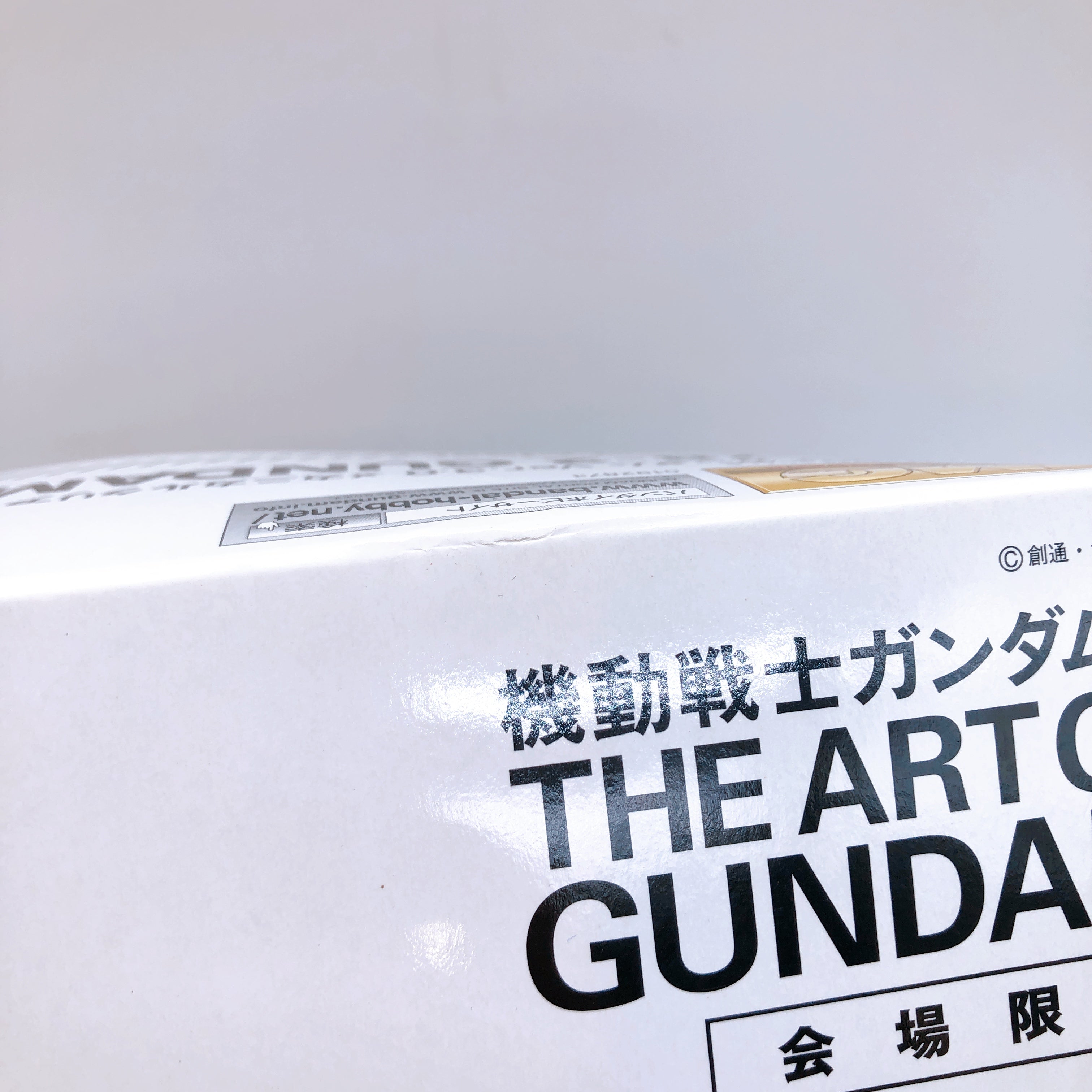 MG 1/100 RX-78-2 Gundam Ver.3.0 Mechanical Clear Limited Rare Kit 15+ Bandai NEW