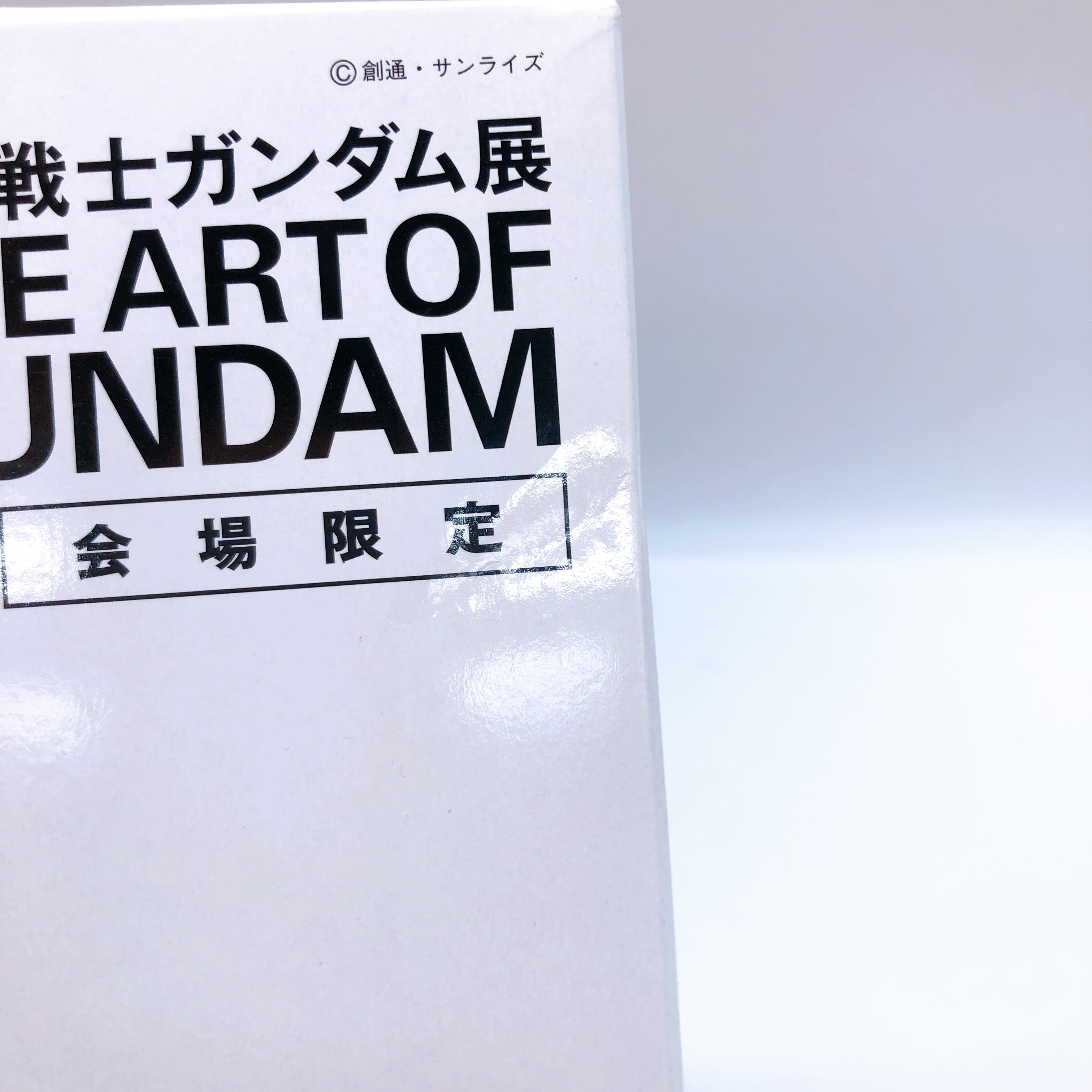 MG 1/100 RX-78-2 Gundam Ver.3.0 Mechanical Clear Limited Rare Kit 15+ Bandai NEW