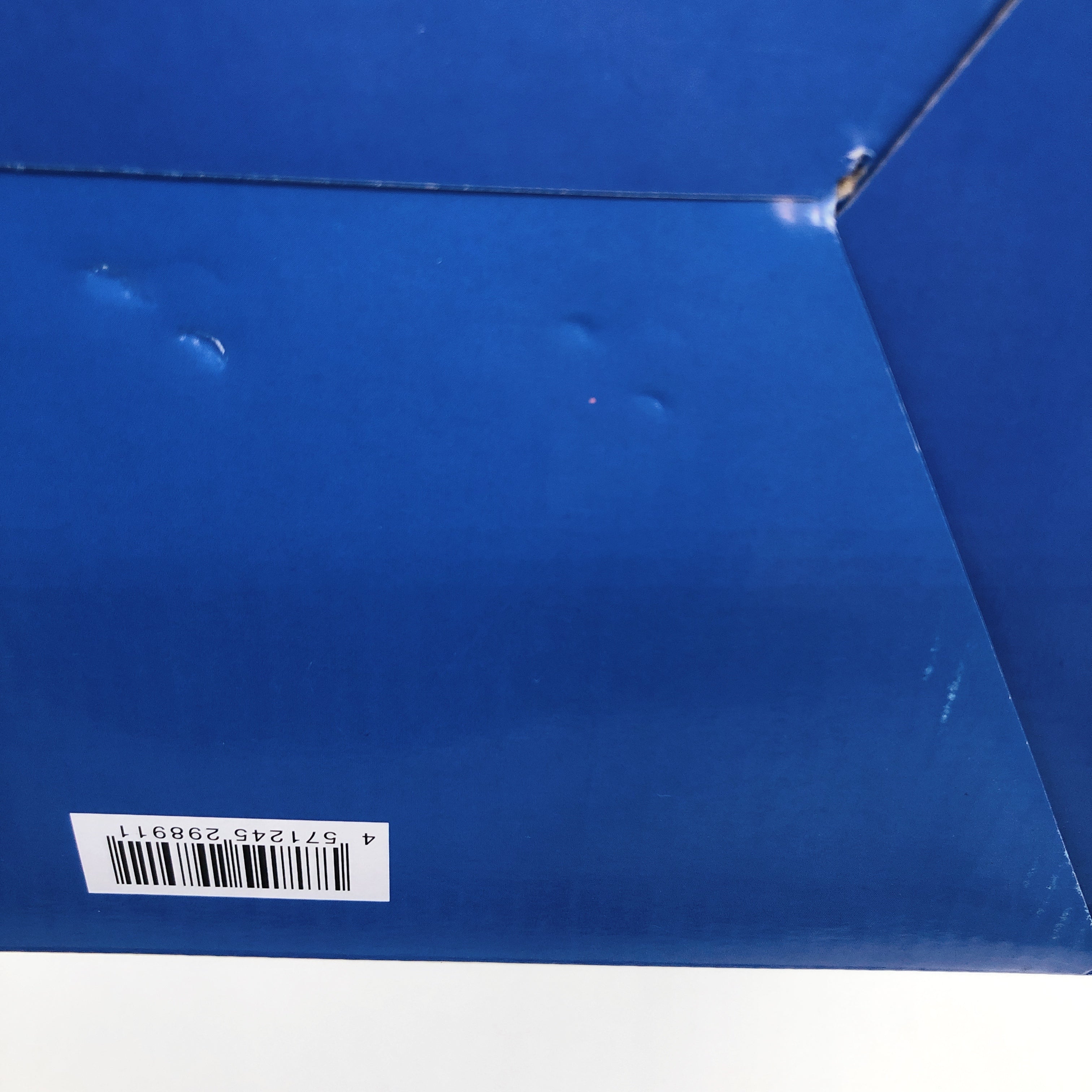 Oh My Goddess! Belldandy Bunny Ver. 1/4 Scale Figure FREEing Japan AUTHENTIC