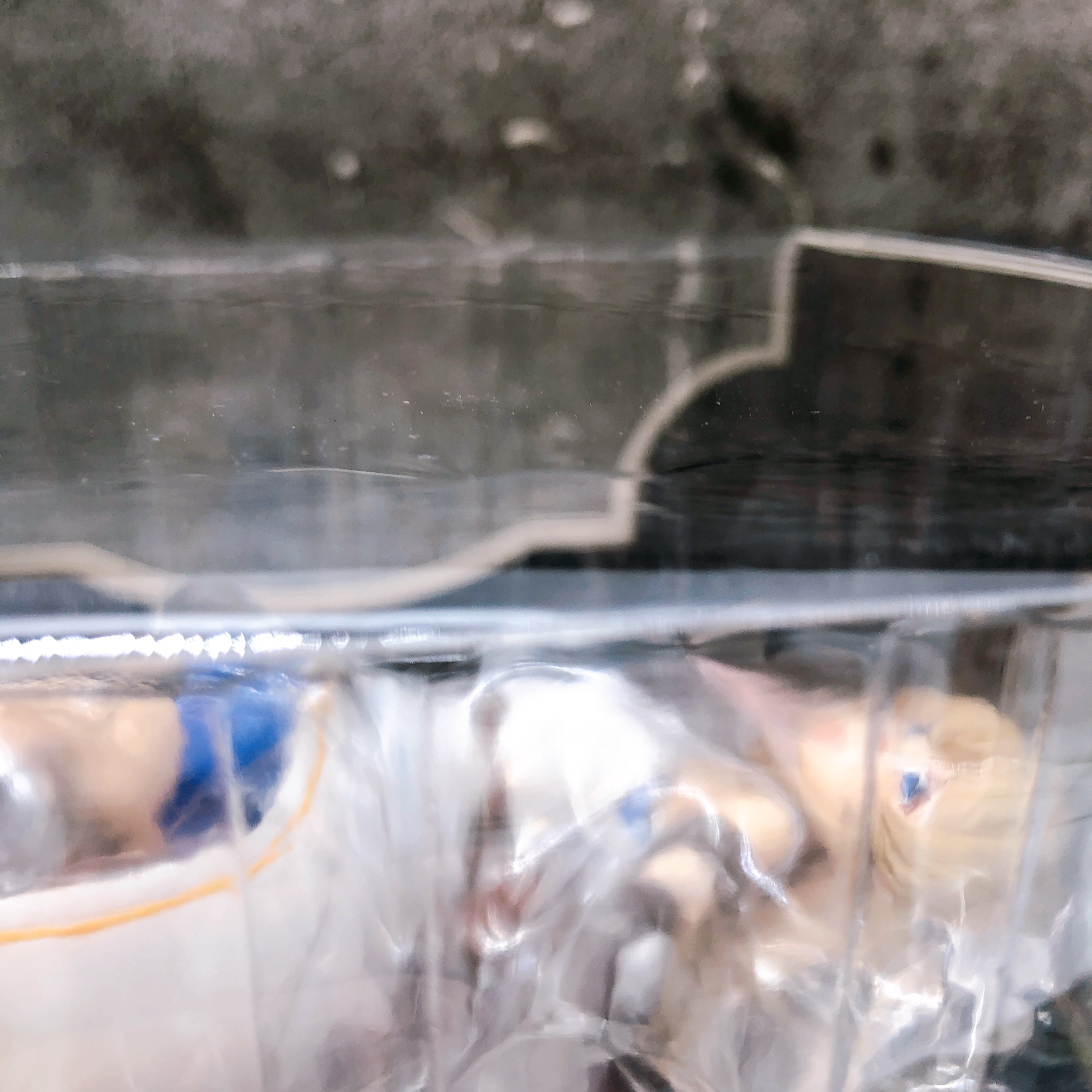 Seven Senses of the Reunion Asahi Kuga 1/7 Scale Figure Revolve Japan AUTHENTIC