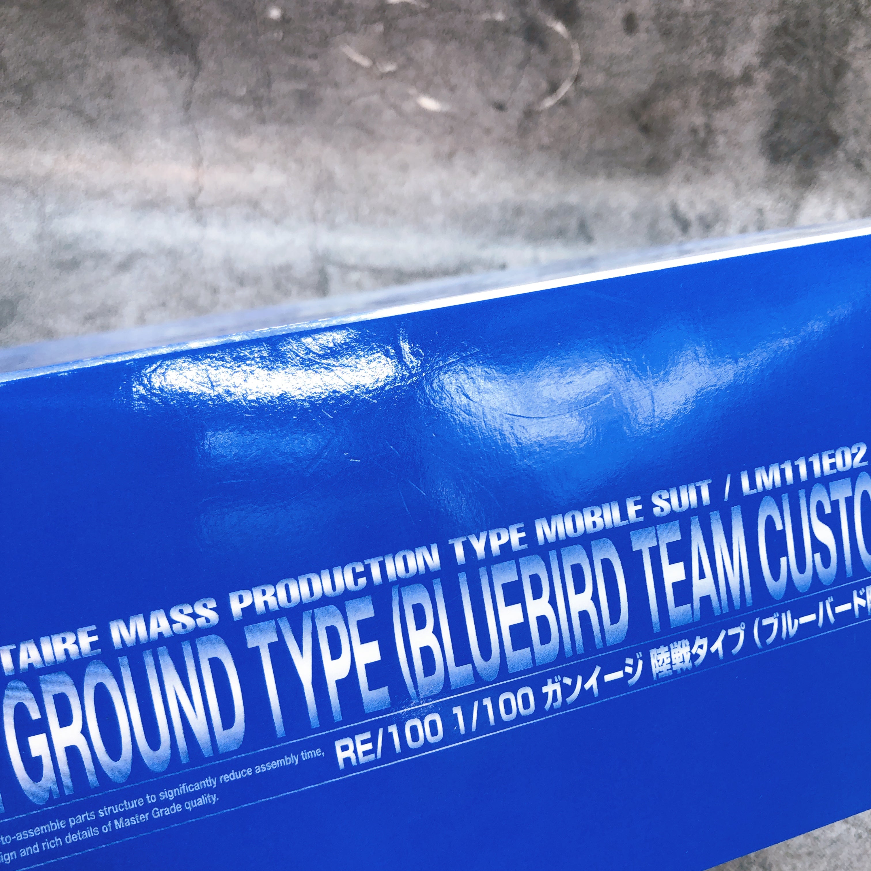 RE/100 1/100 GUN EZ Ground Type Bluebird Team Custom Model Kit Premium Bandai