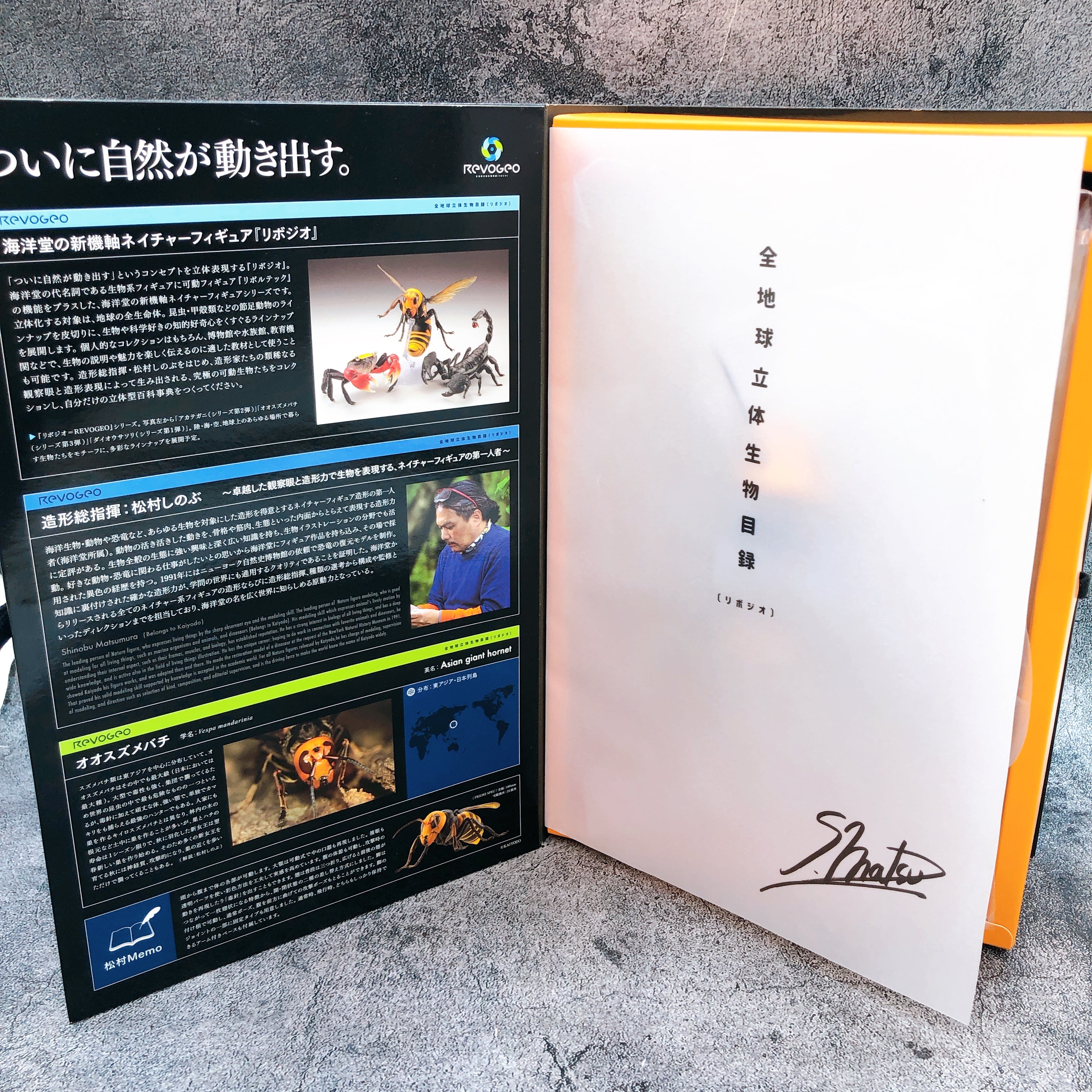 REVO GEO Asian Giant Hornet Vespa Mandarinia Action Figure Kaiyodo AUTHENTIC