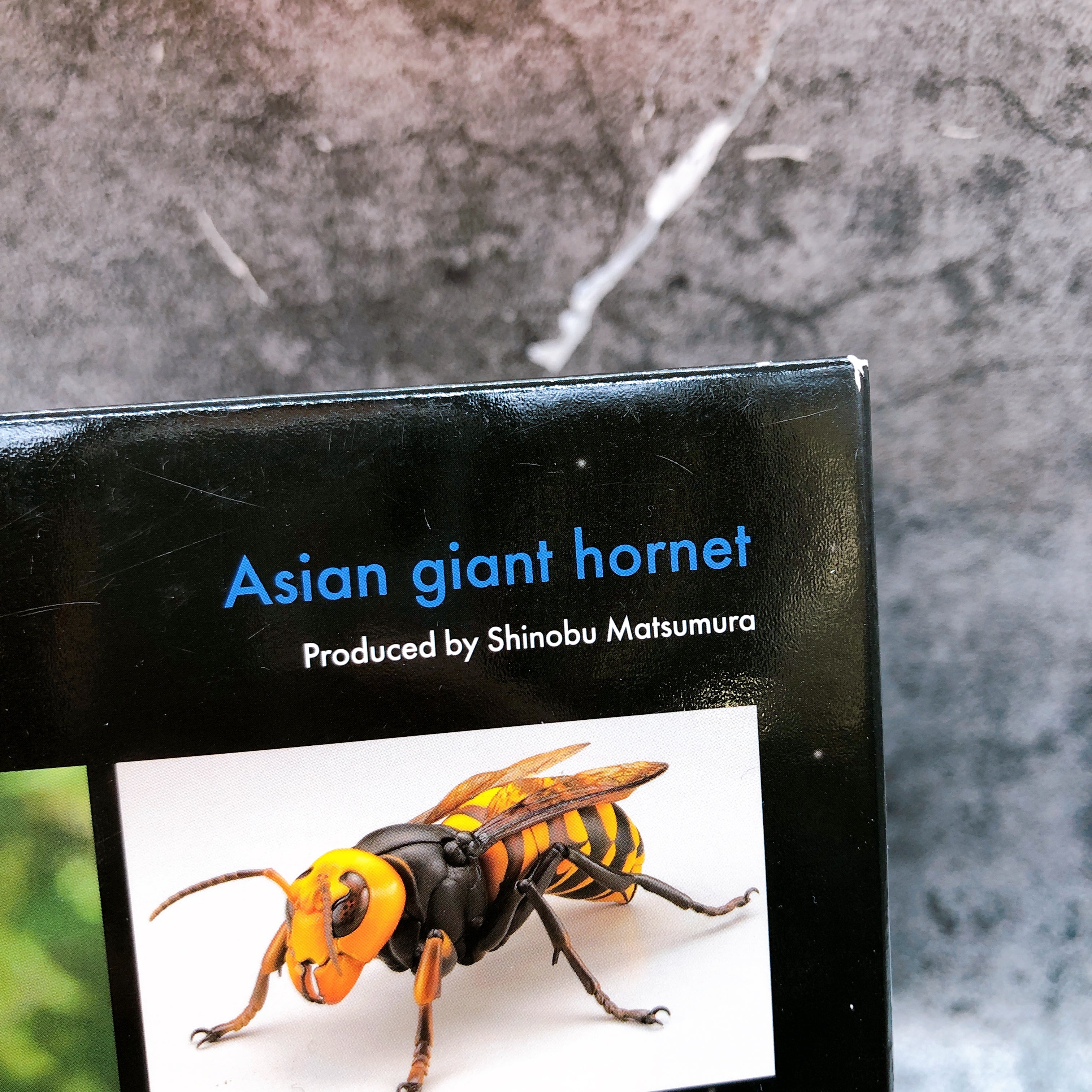 REVO GEO Asian Giant Hornet Vespa Mandarinia Action Figure Kaiyodo AUTHENTIC