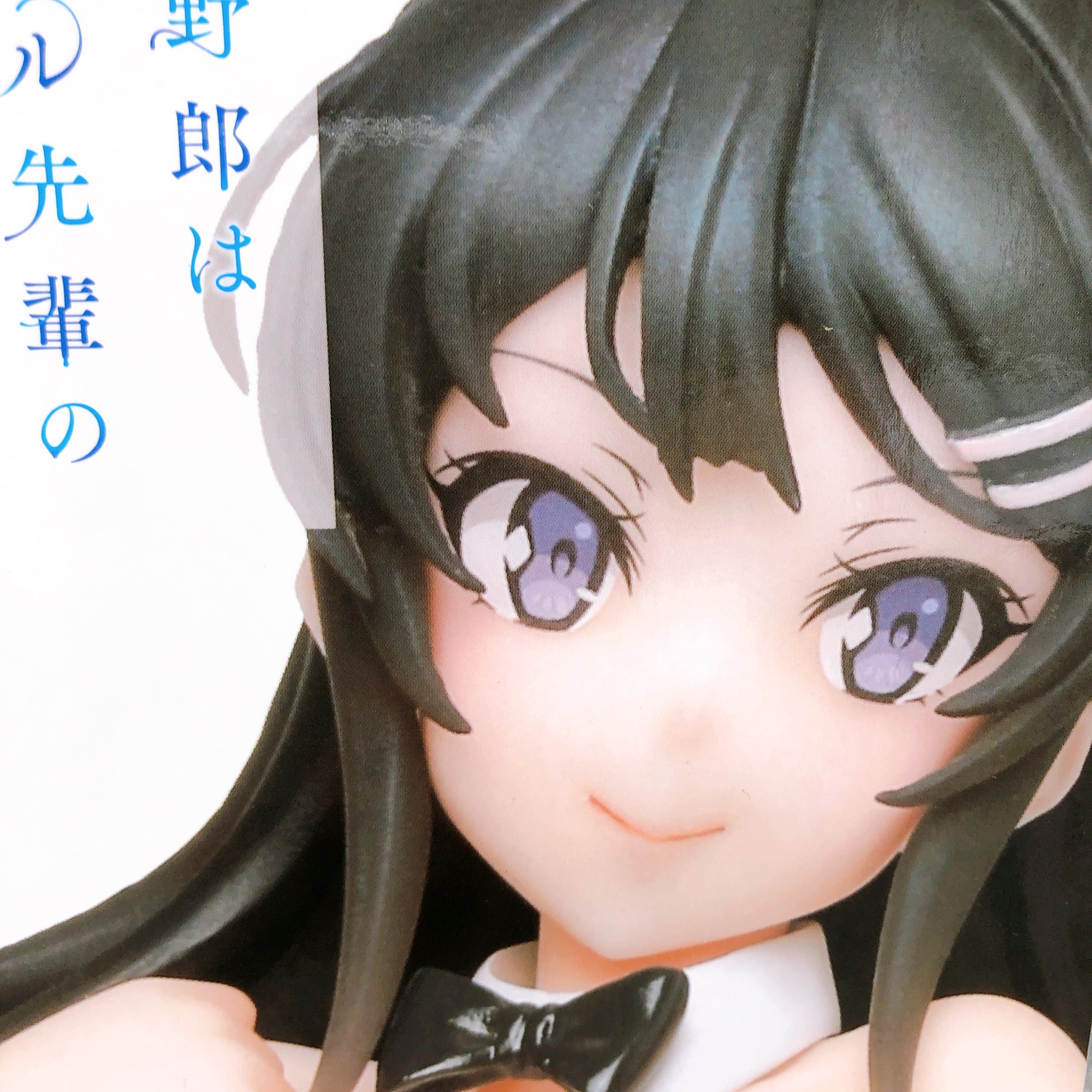 Rascal Does Not Dream of Bunny Girl Senpai Mai Sakurajima Bunny Ver. Coreful