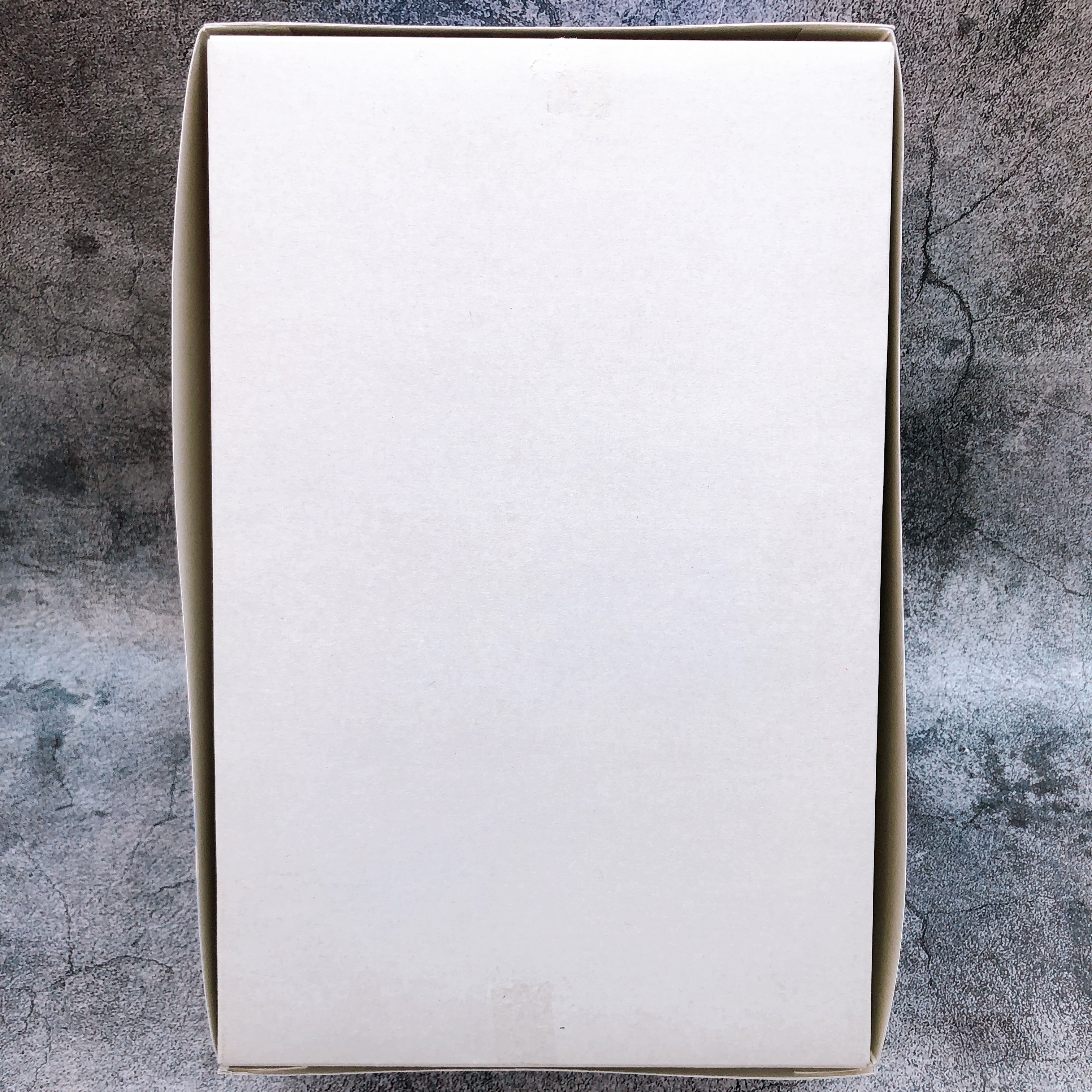 RG 1/144 Tallgeese III Titanium Finish Gundam W Model Kit Premium Bandai Japan