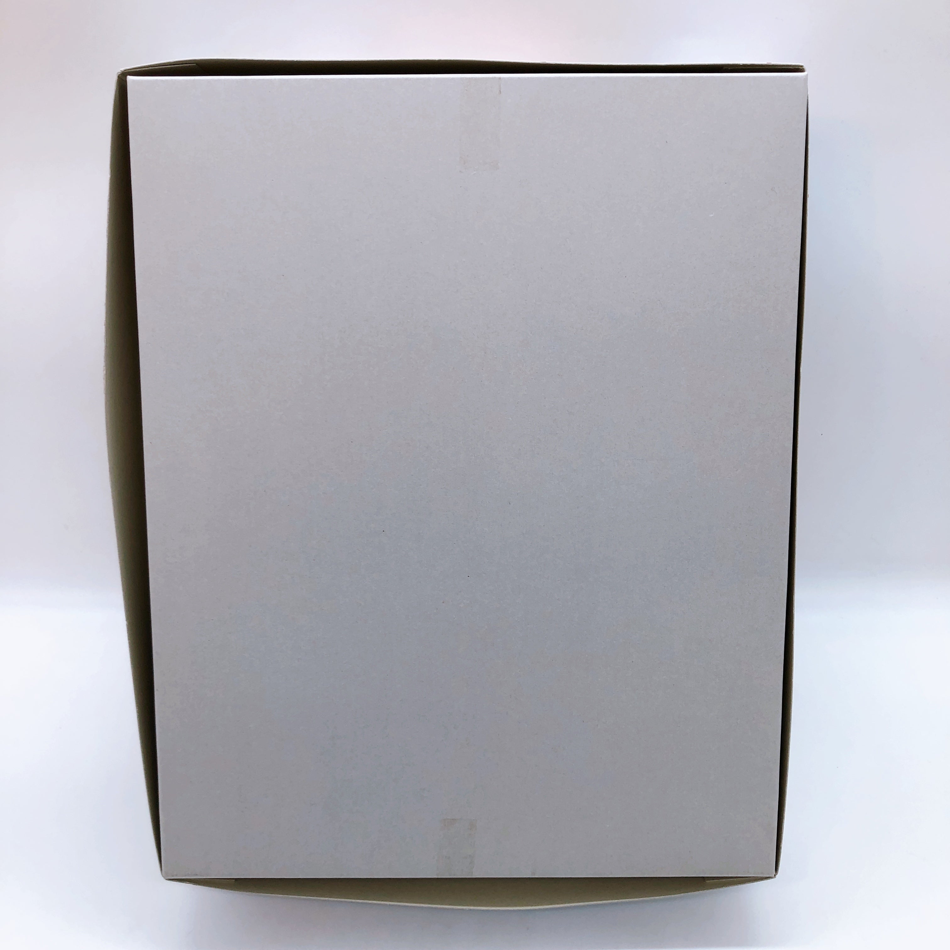 MG 1/100 Gundam Astray Red Frame Flight Unit Plating Frame Color Clear Kit NEW