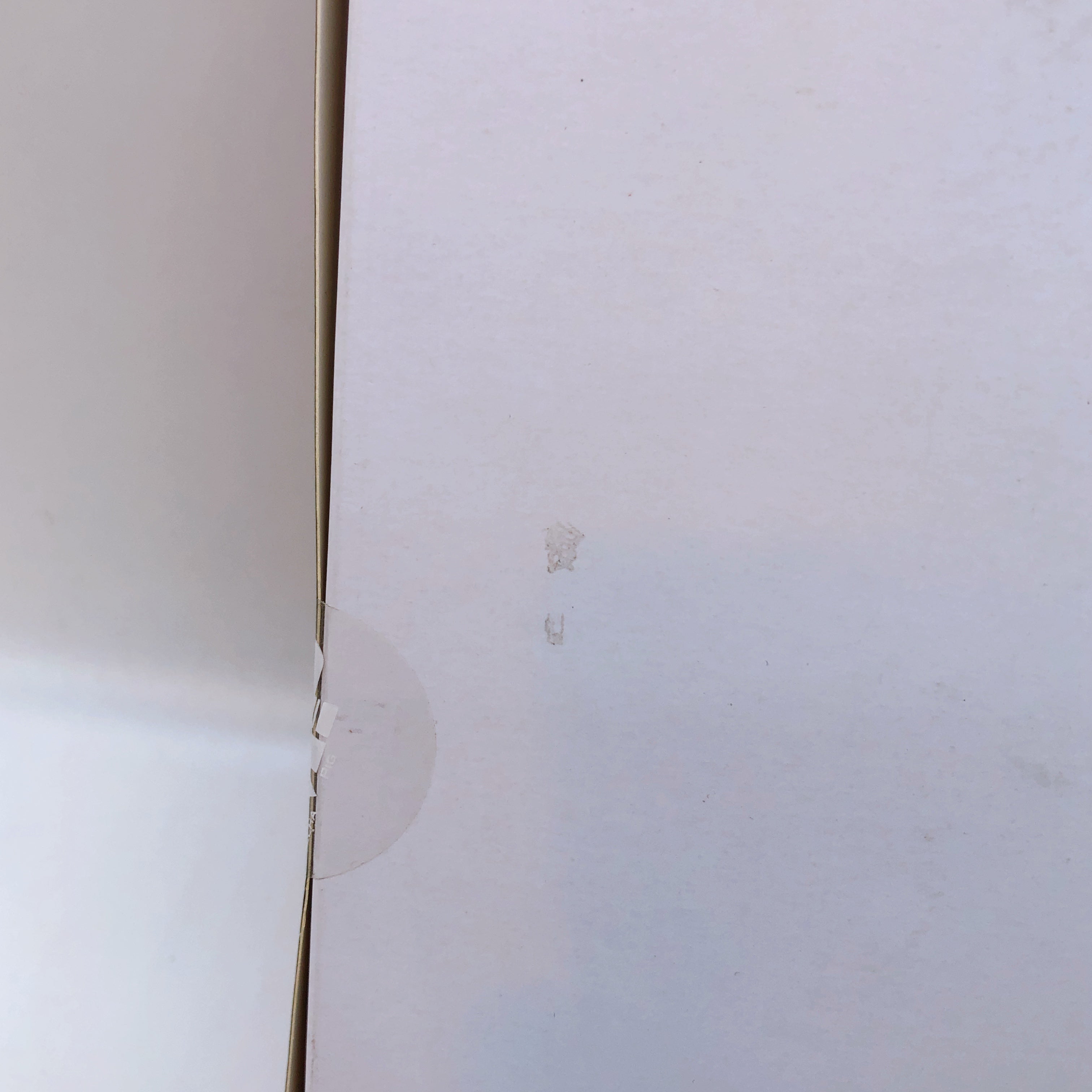 MS GENERAL RAIDER OF SHADOW RS-01 Zi Shu Mouse 1/12 Action Model Kit Sealed NEW