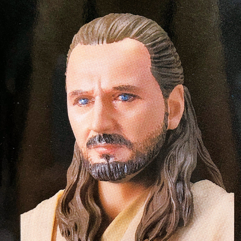 S.H.Figuarts Qui-Gon Jinn STAR WARS The Phantom Menace Action Figure Bandai NEW