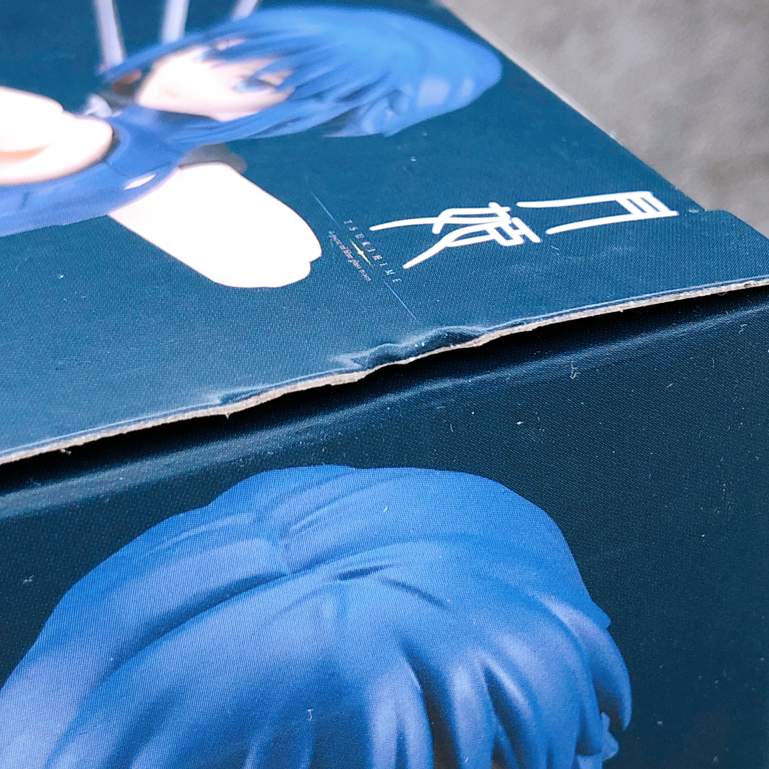 Tsukihime A piece of blue glass moon Ciel figma 623 Action Figure Max Factory