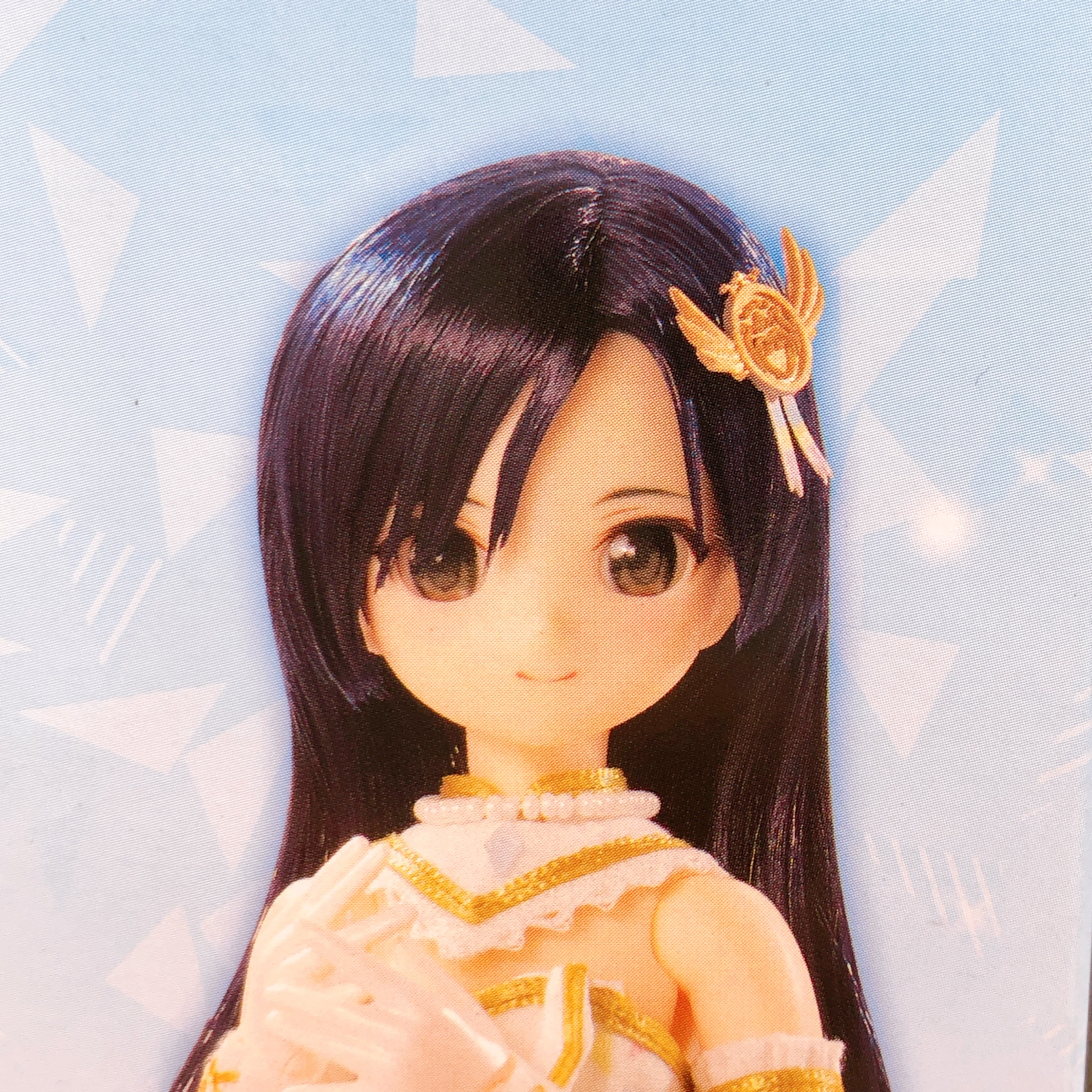 AZONE Pure Neemo THE iDOLMASTER Chihaya Kisaragi 1/6 Doll Figure 158 NEW