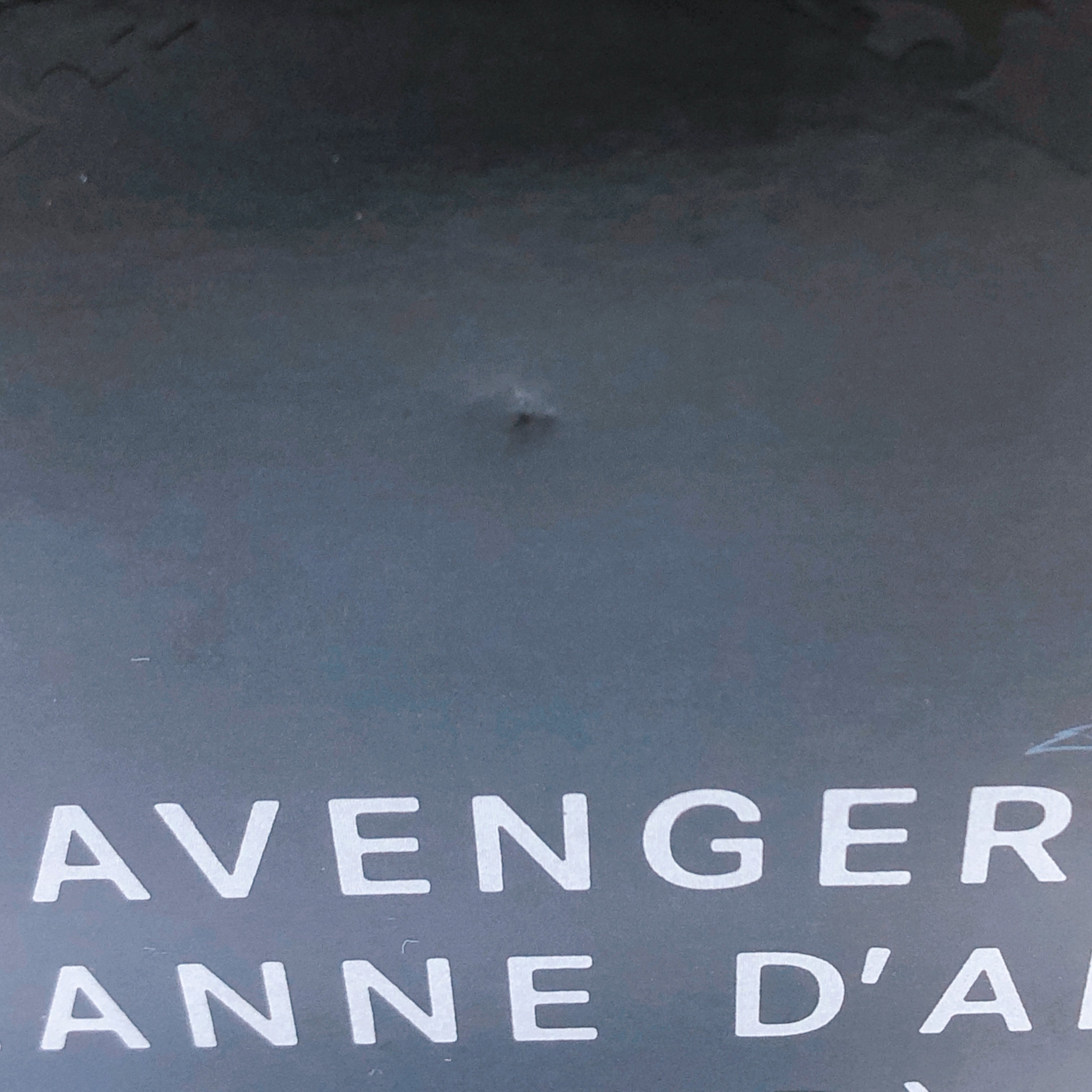 Fate Grand Order Avenger Jeanne d'Arc Alter Ephemeral Dream Ver 1/7 Scale Figure