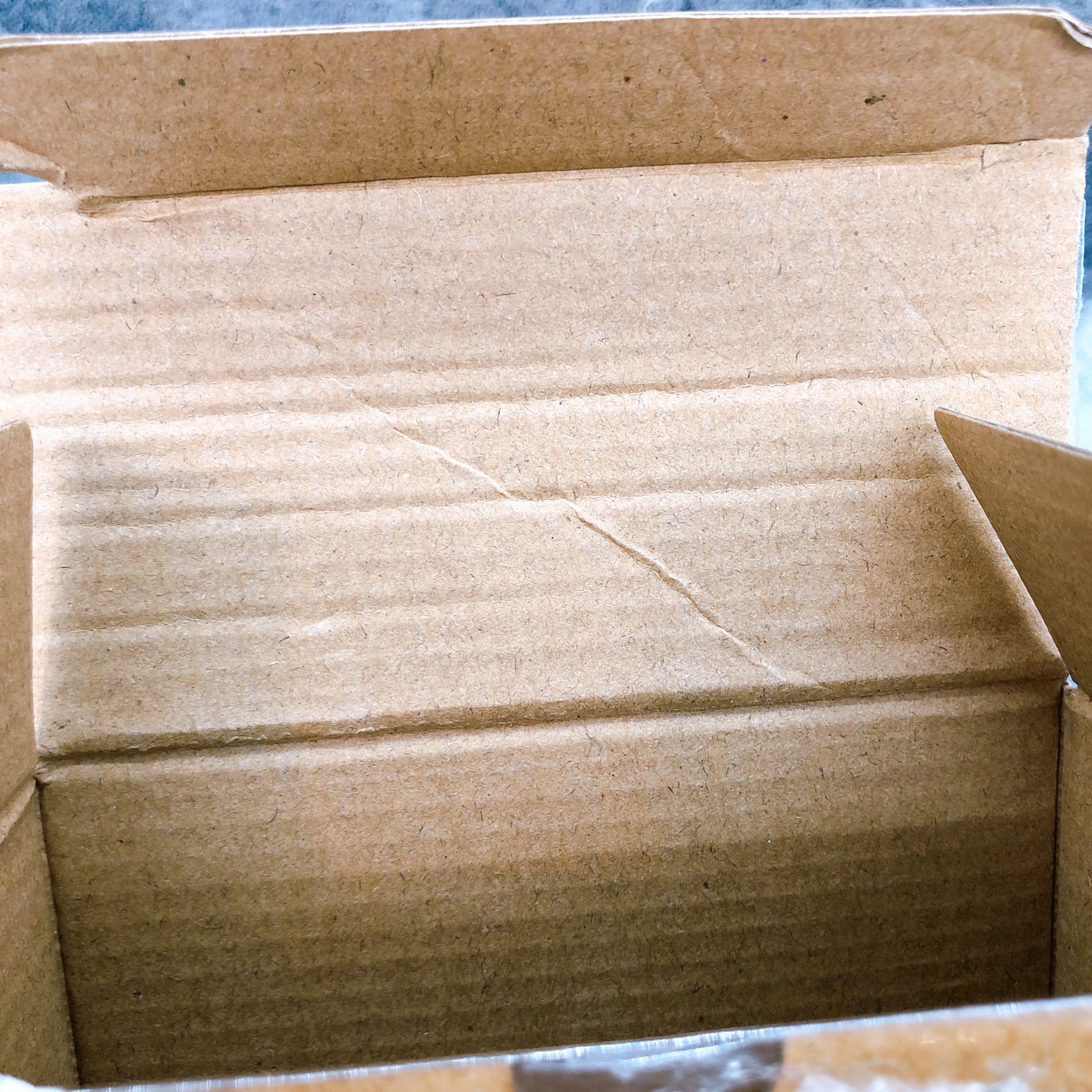 S.H.Figuarts Kamen Rider Kabuto Rider Form Shinkocchou Seihou 10th Anniversary