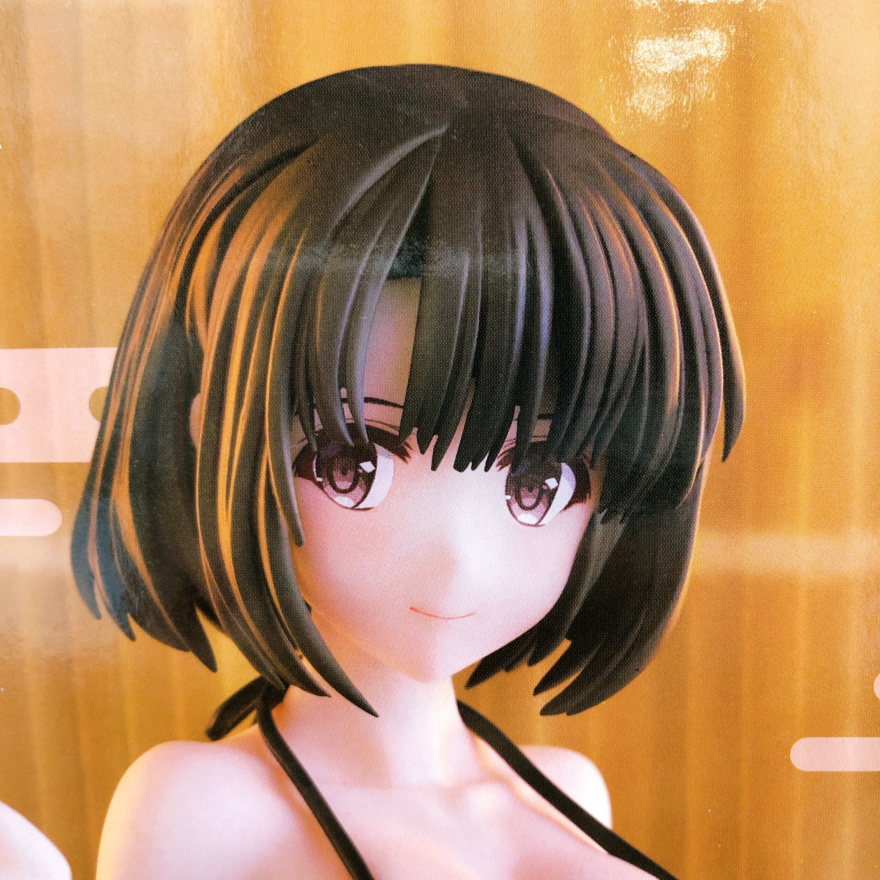 Saekano: How to Raise a Boring Girlfriend Fine Megumi Kato Thermae Utopia SEGA